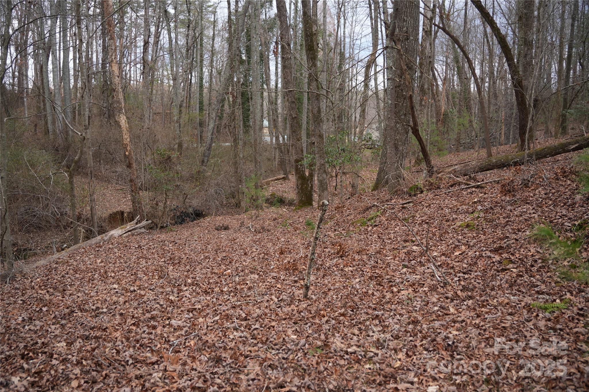 741 Glenn Bridge Road — Arden