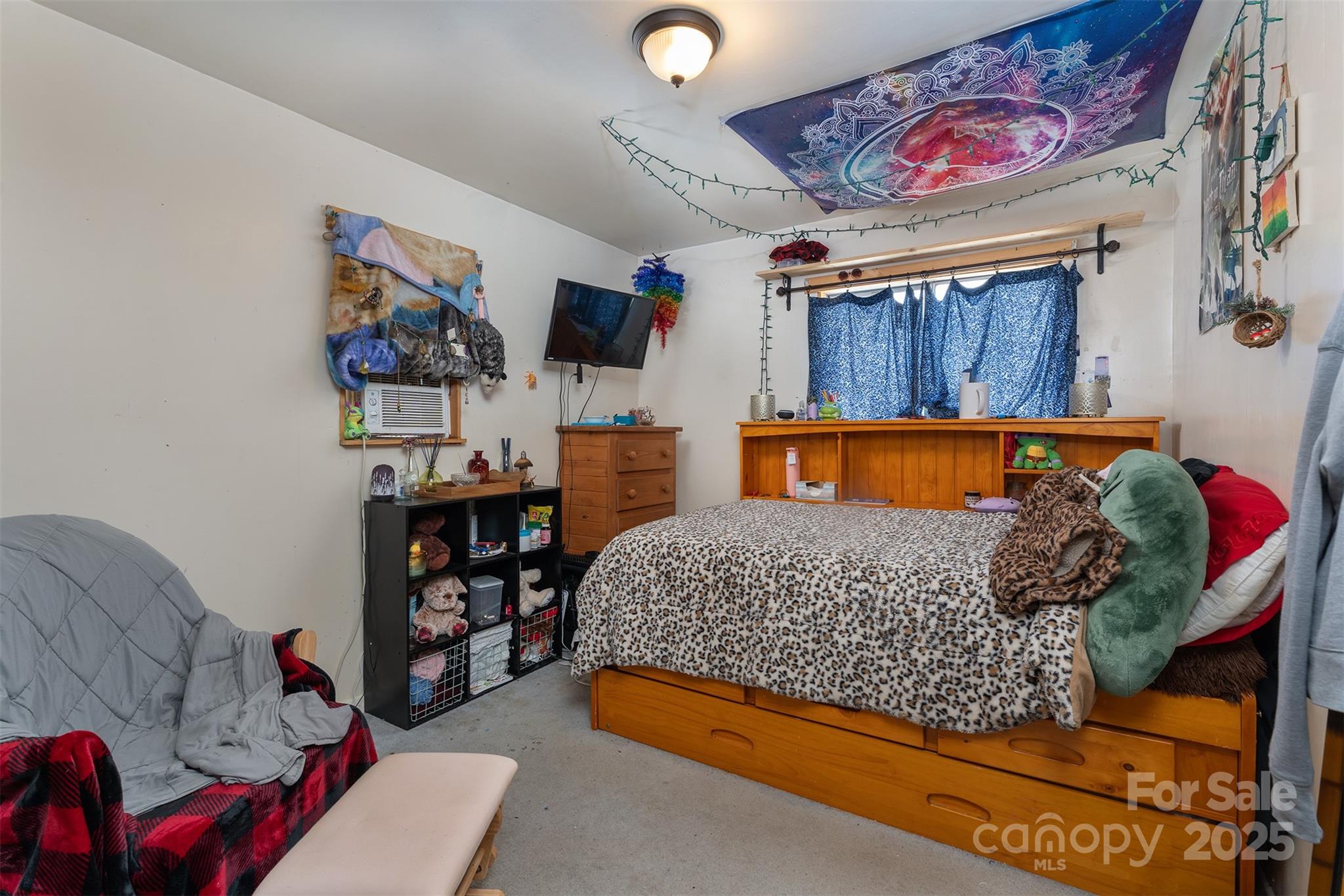 1145 Woolyshot Branch Road — Hot Springs