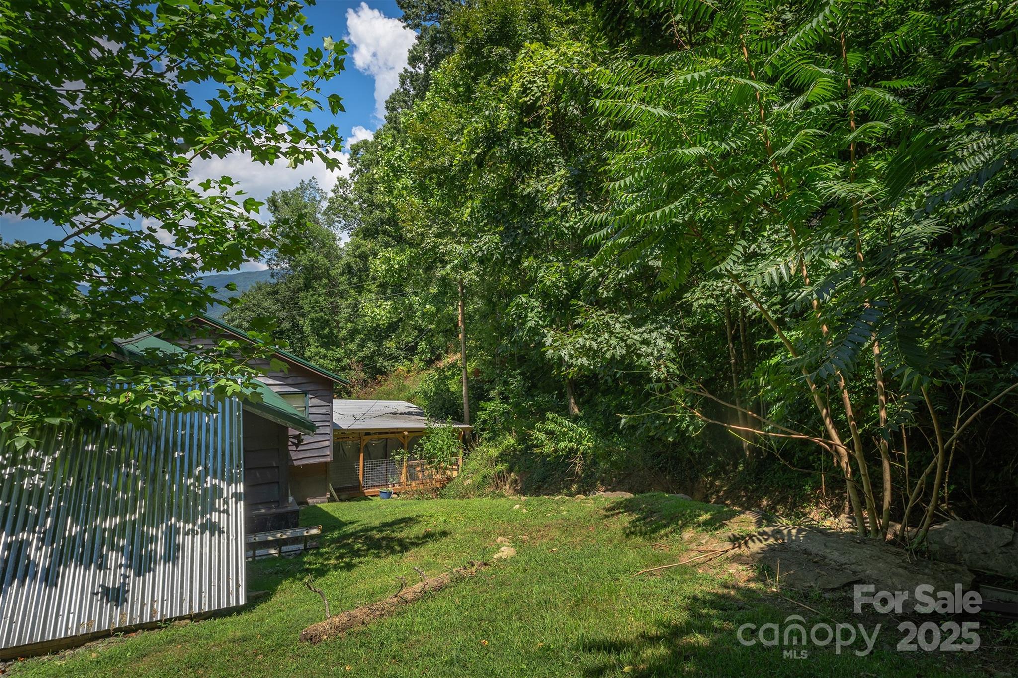 1145 Woolyshot Branch Road — Hot Springs