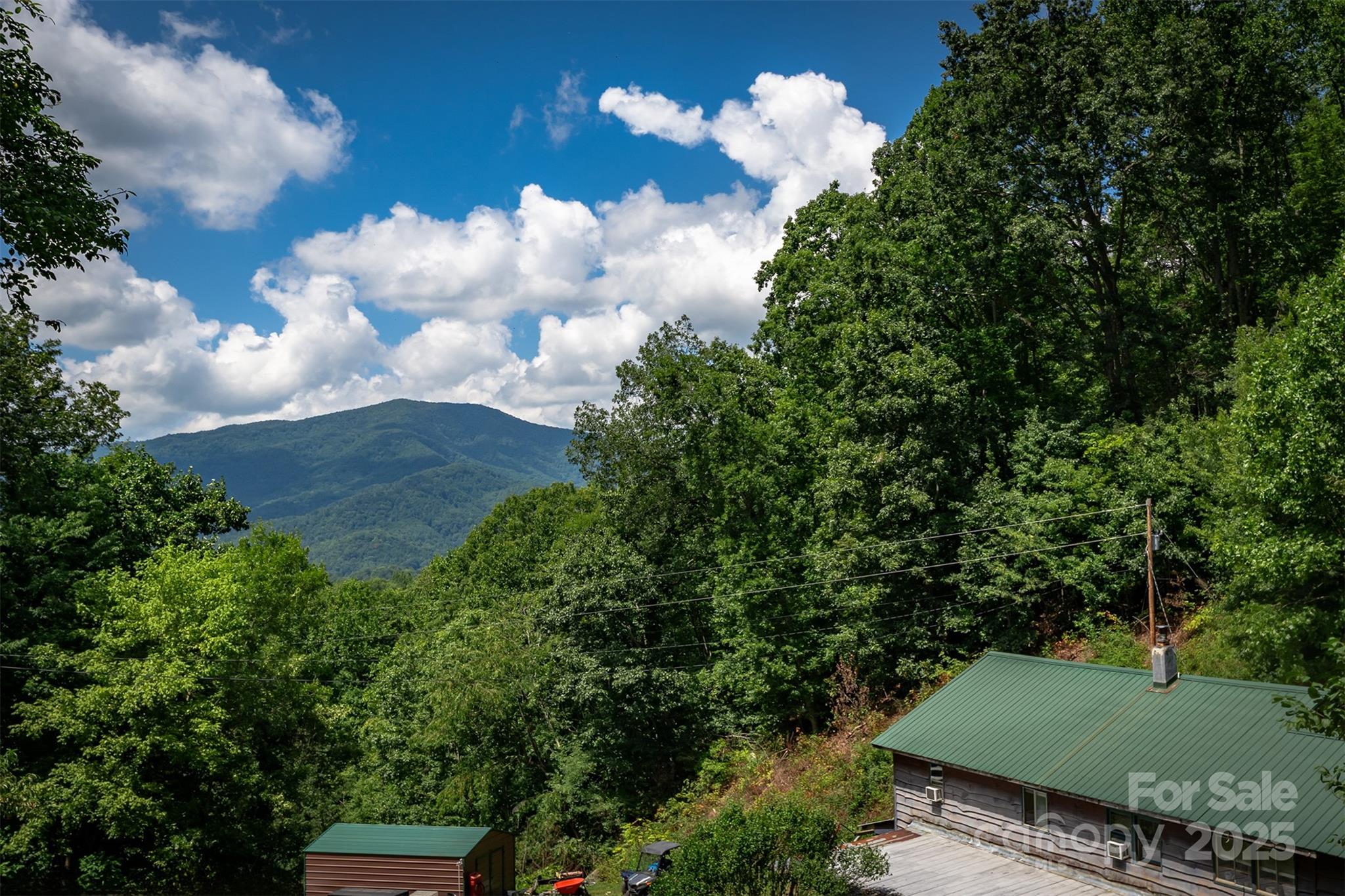 1145 Woolyshot Branch Road — Hot Springs