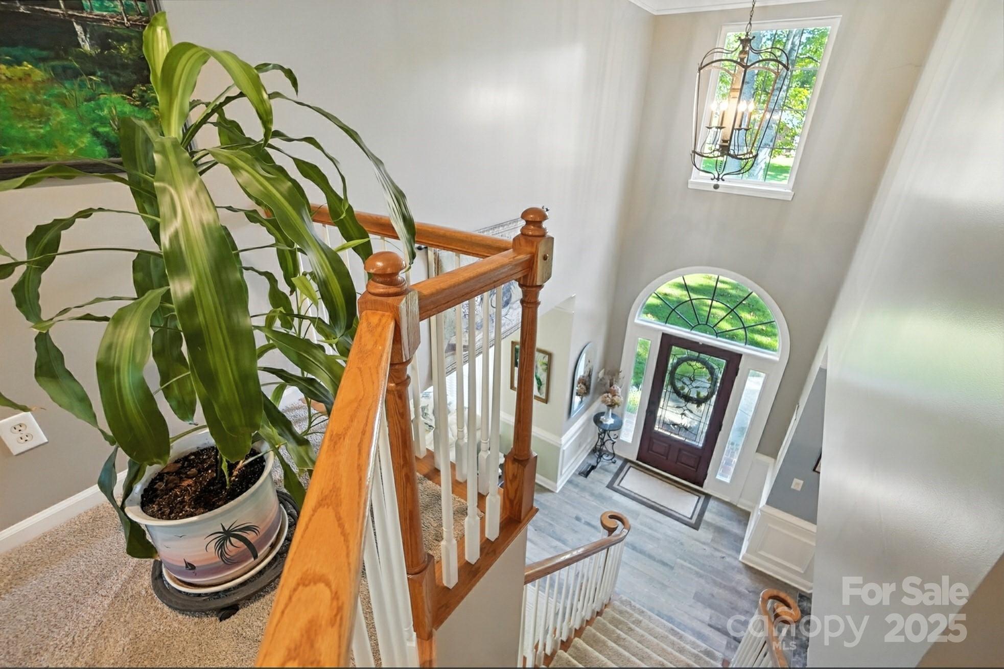 10219 Windtree Lane — Charlotte