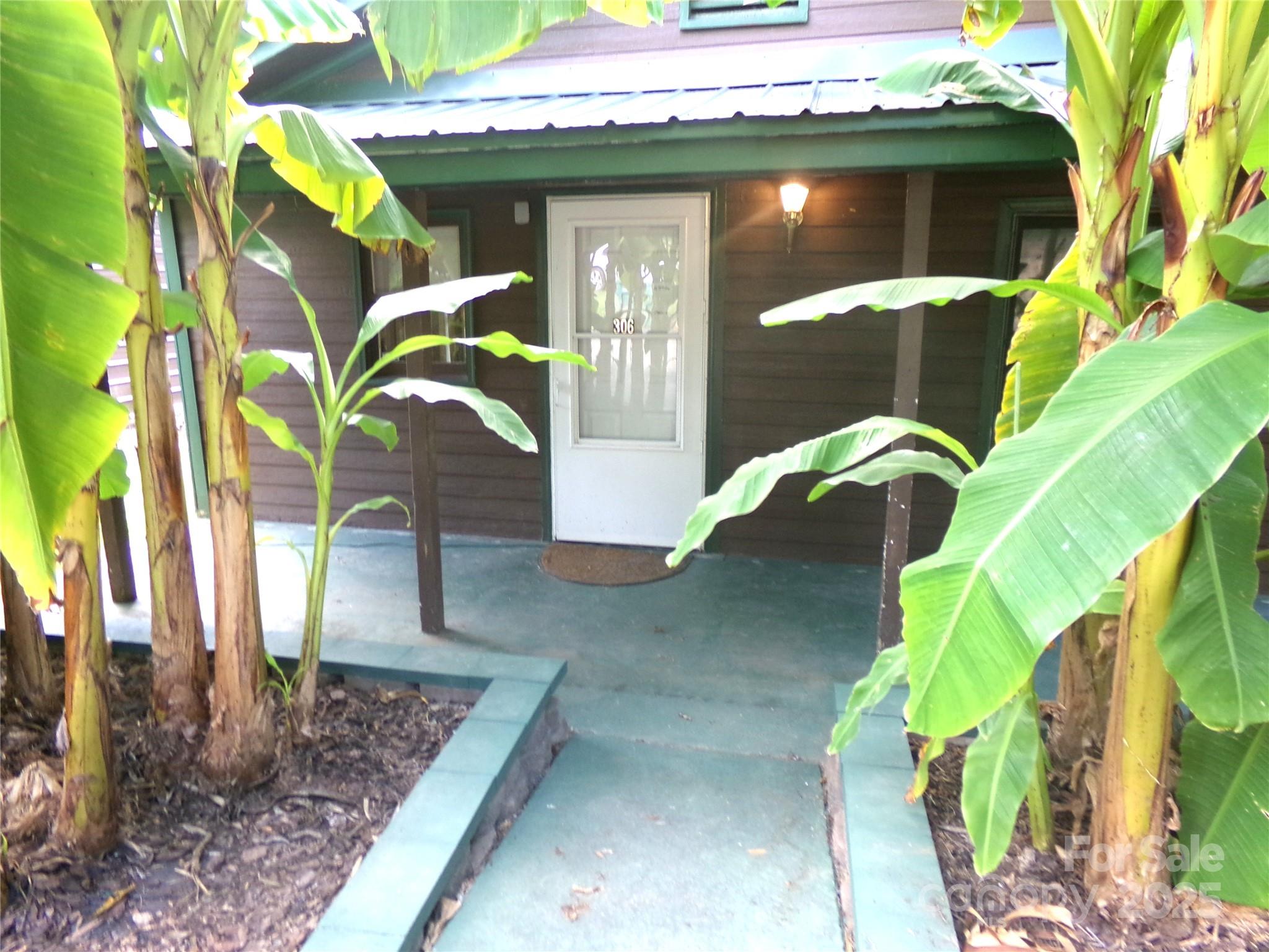 306 Dunlap Street — Albemarle