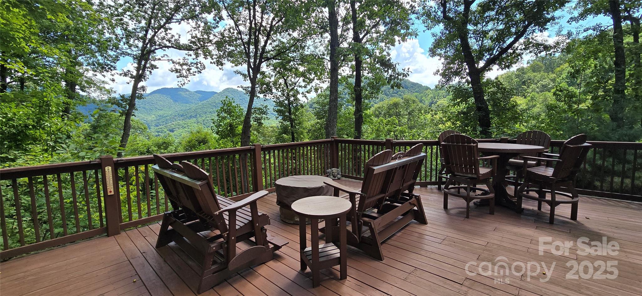 607 Rocky Top Trail — Barnardsville