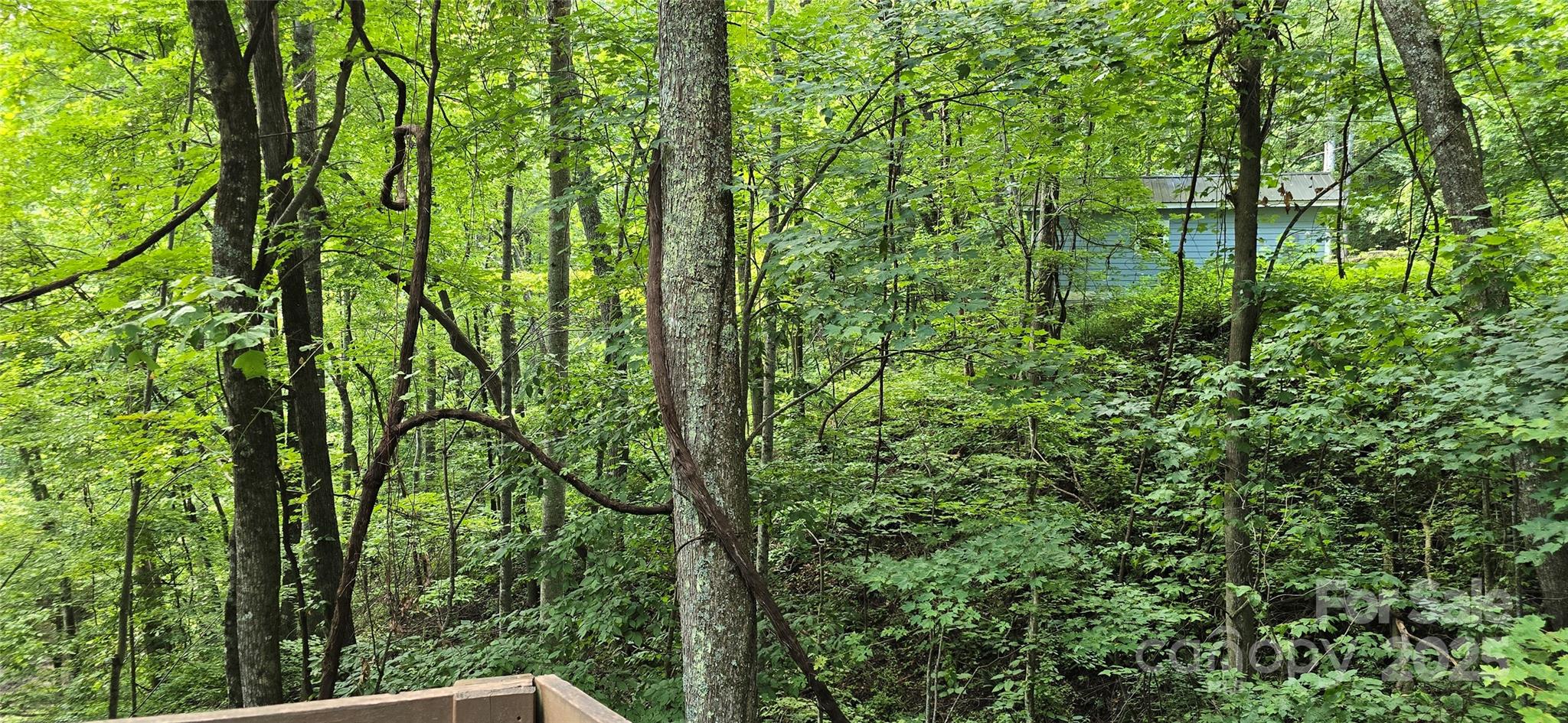 607 Rocky Top Trail — Barnardsville
