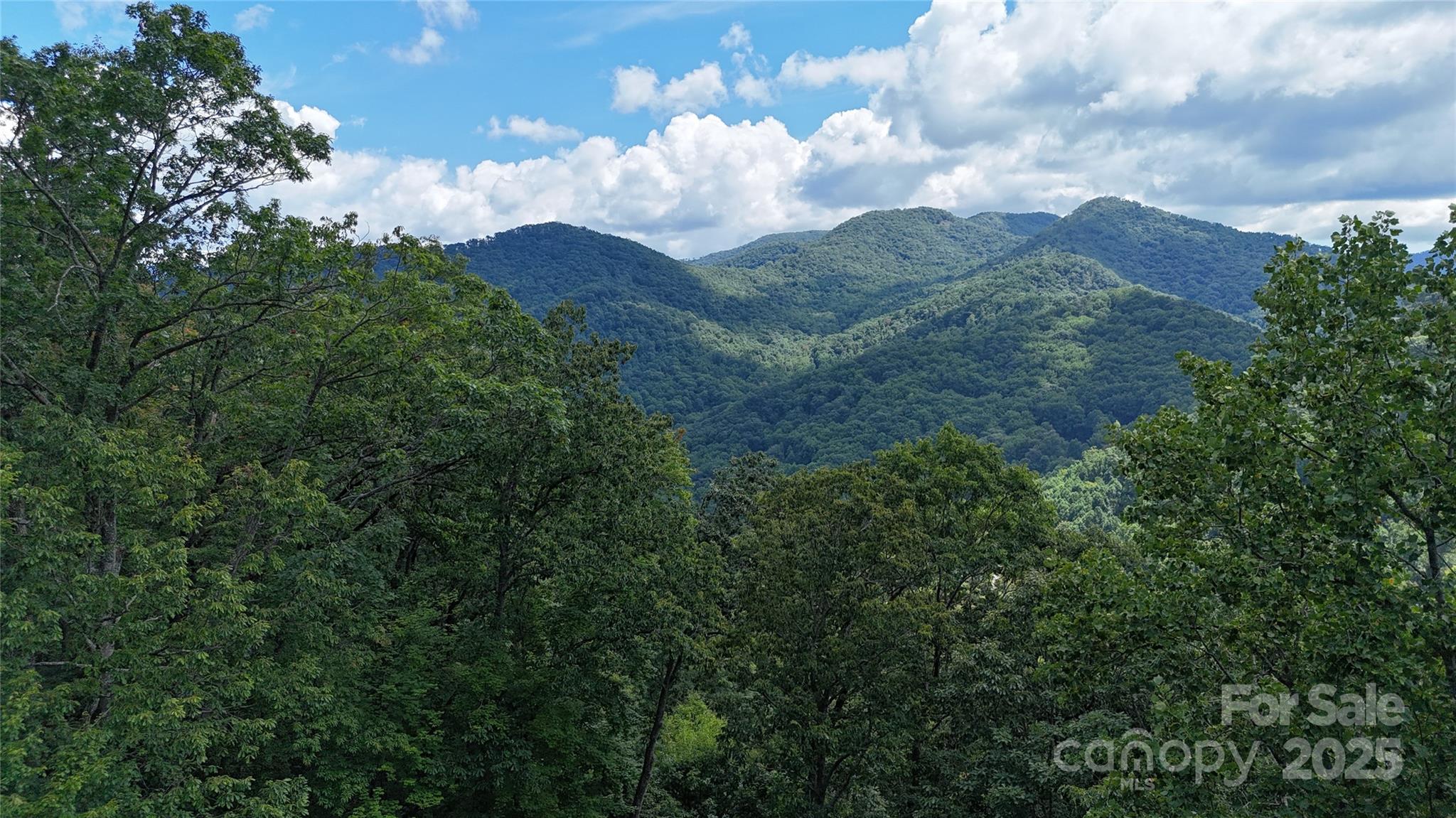 607 Rocky Top Trail — Barnardsville