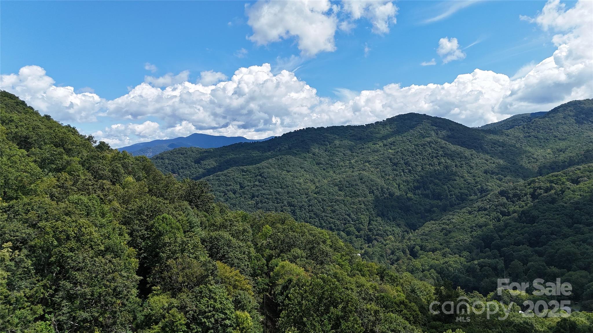 607 Rocky Top Trail — Barnardsville
