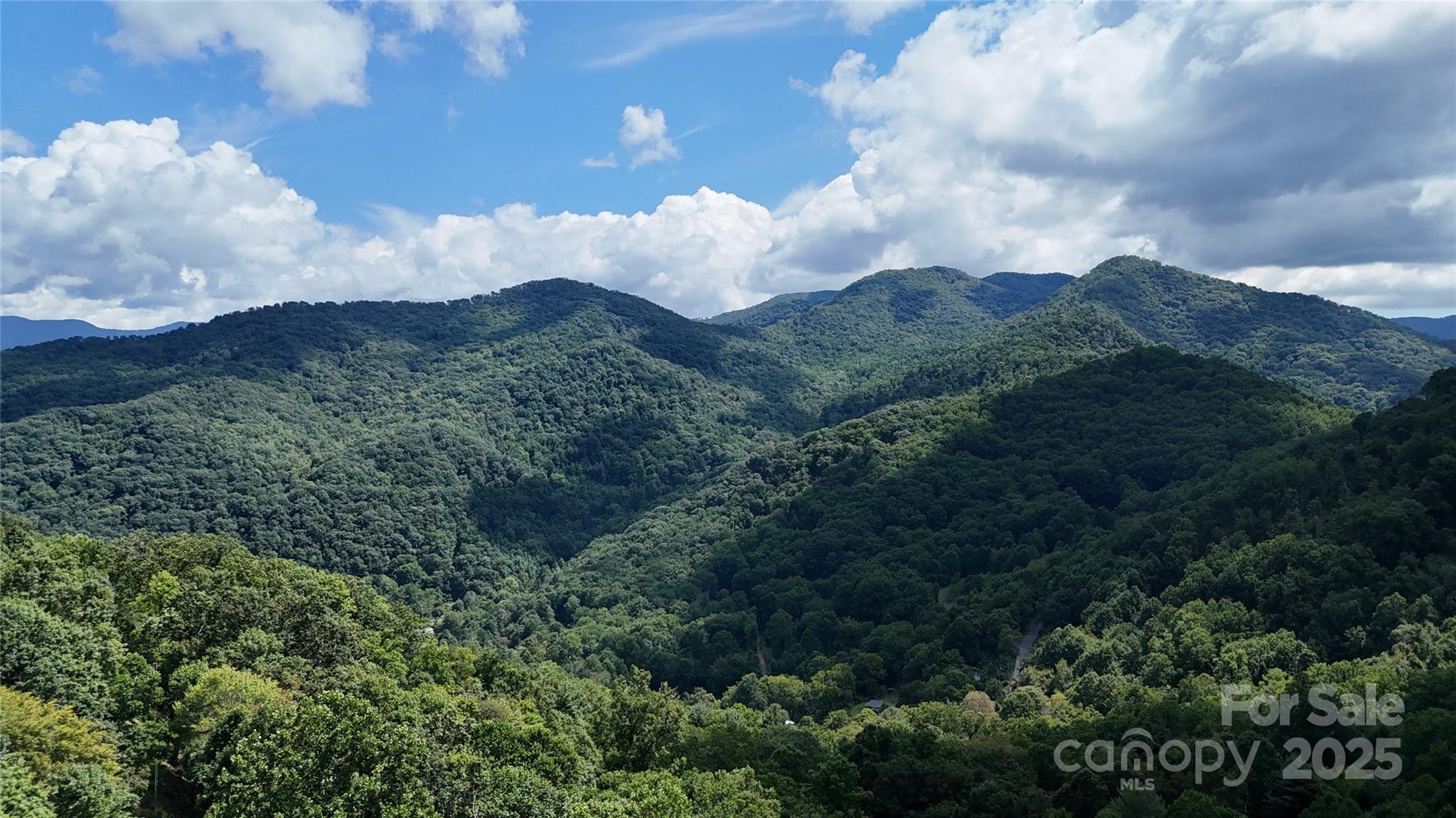607 Rocky Top Trail — Barnardsville