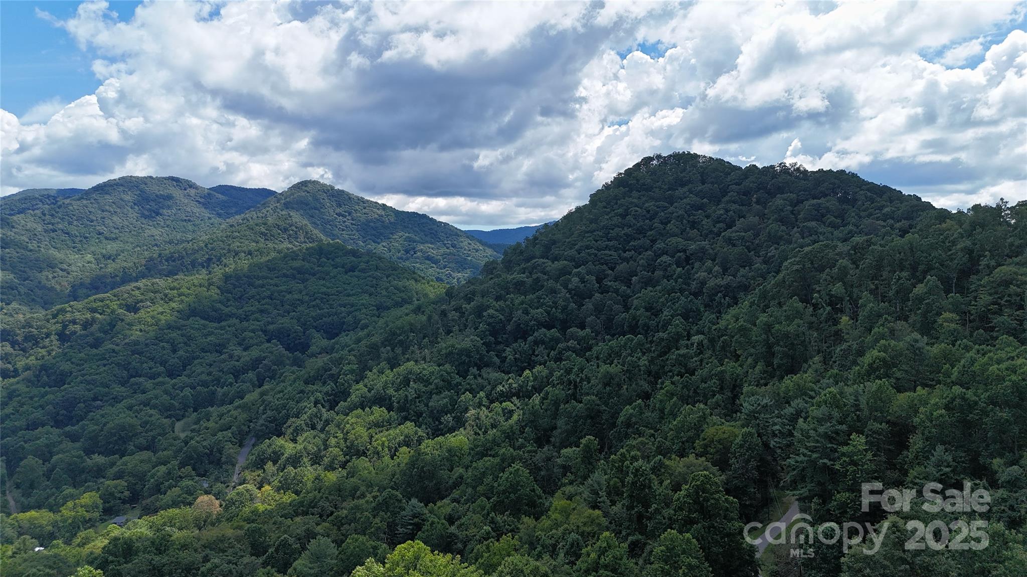 607 Rocky Top Trail — Barnardsville