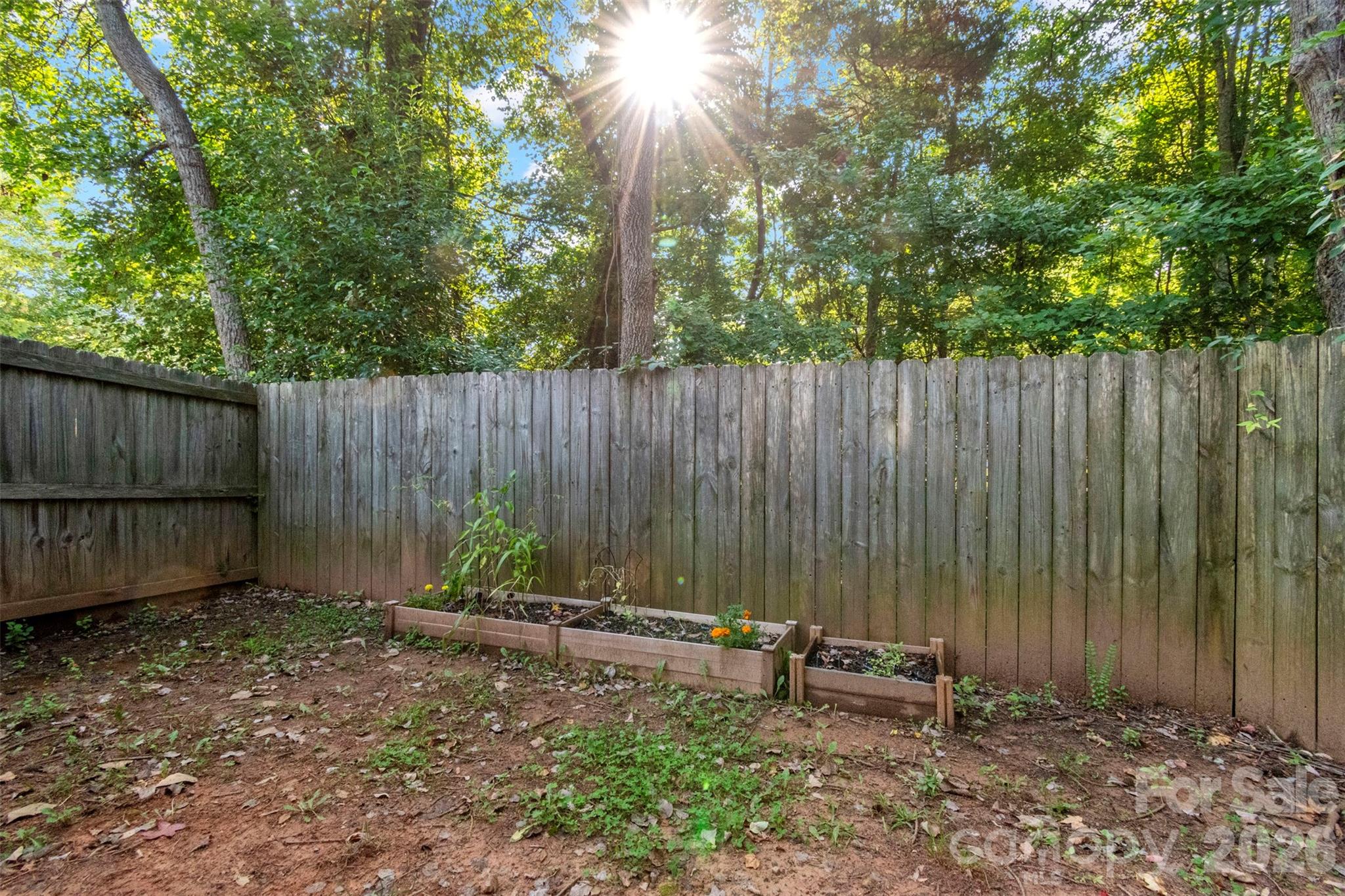 5541 Peachwood Drive — Charlotte