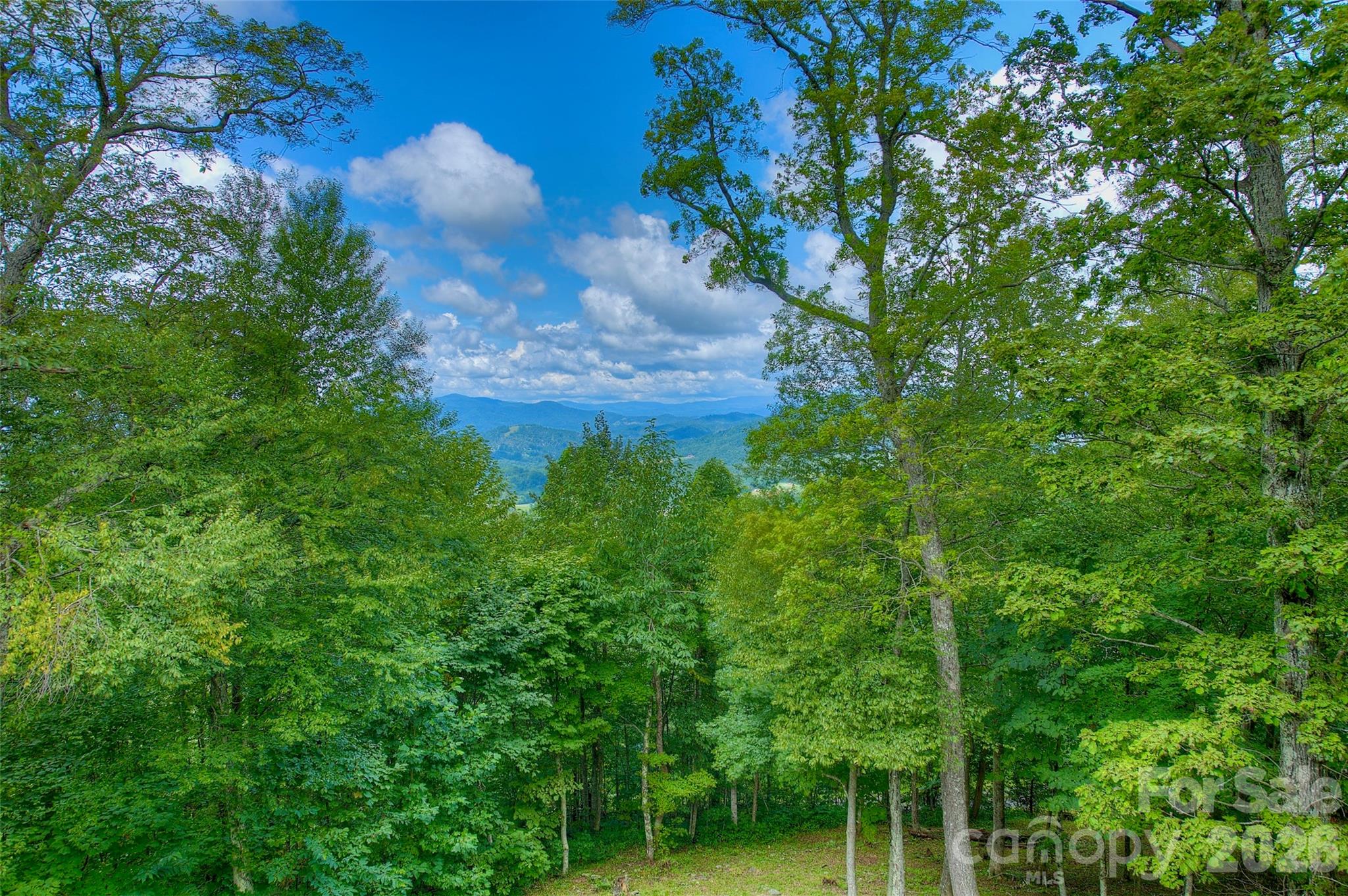 1024 Arrowhead Ridge Road — Spruce Pine