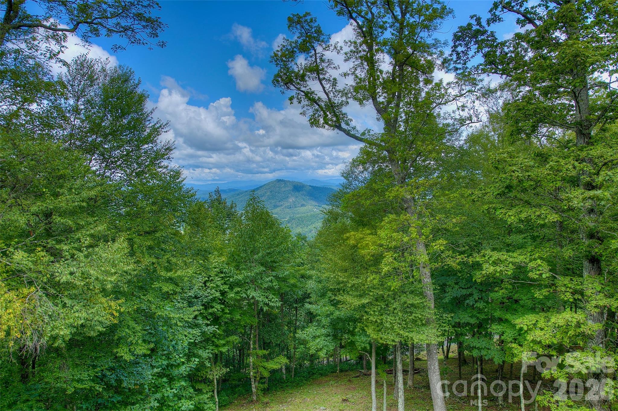 1024 Arrowhead Ridge Road — Spruce Pine