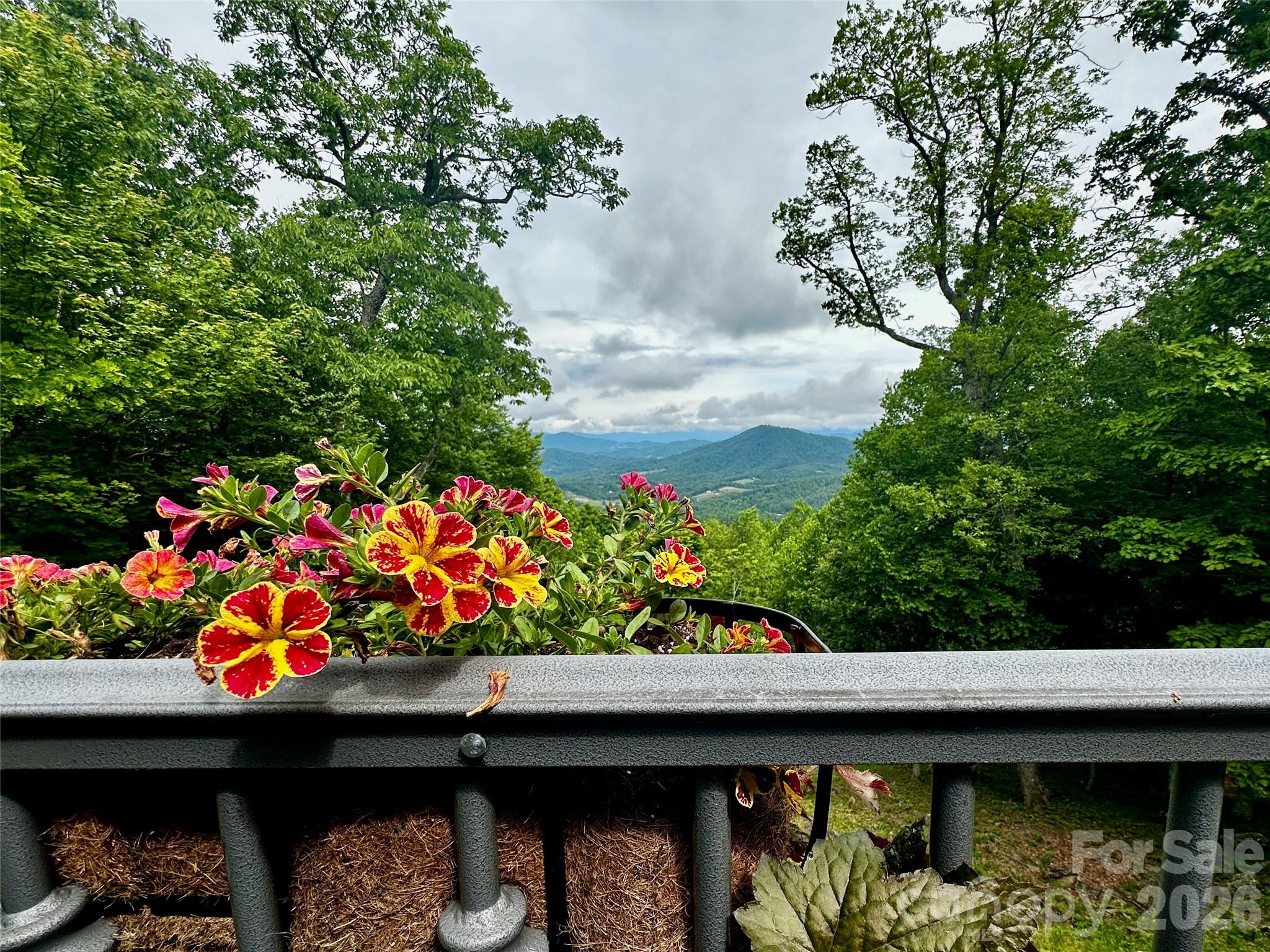 1024 Arrowhead Ridge Road — Spruce Pine