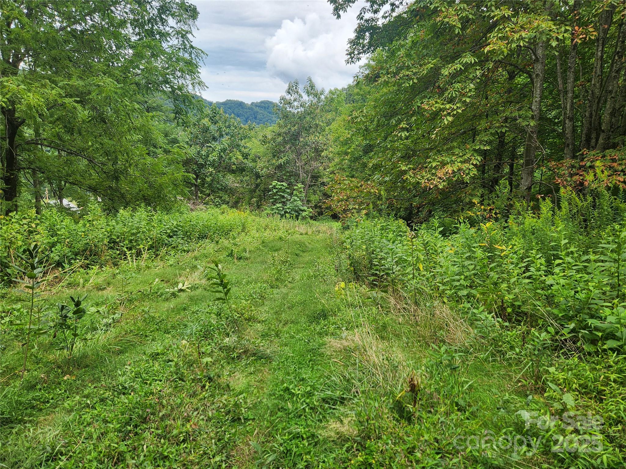 1925 S Fork Road — Marshall