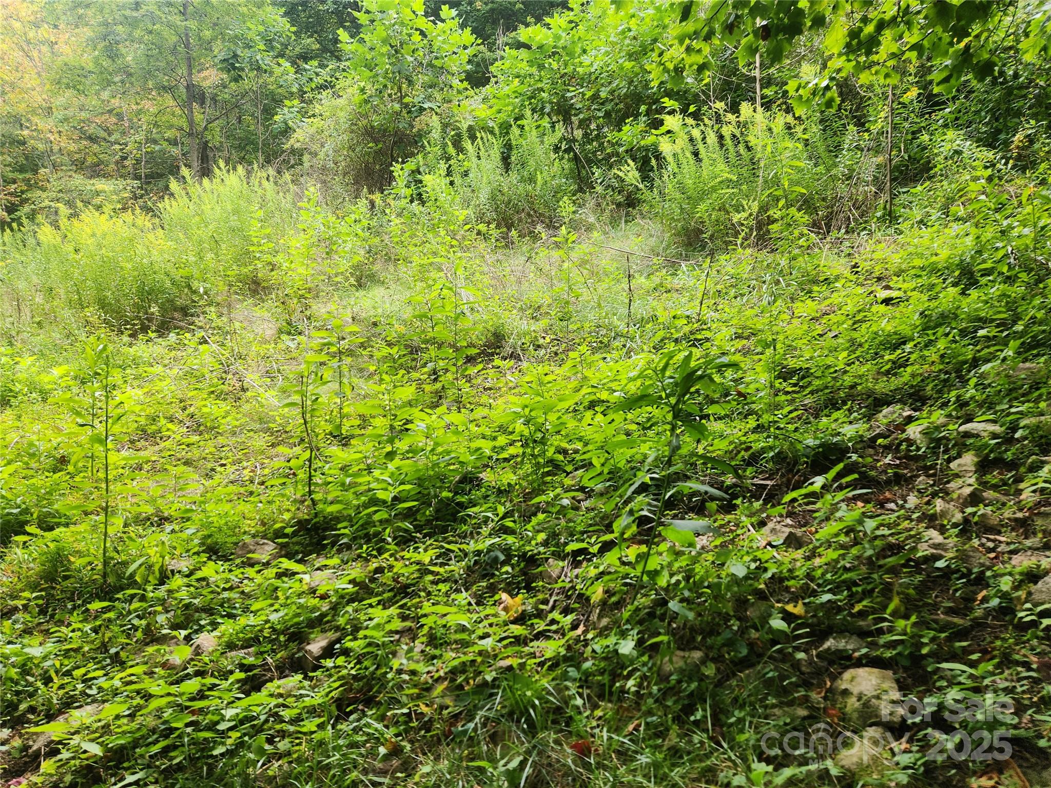 1925 S Fork Road — Marshall