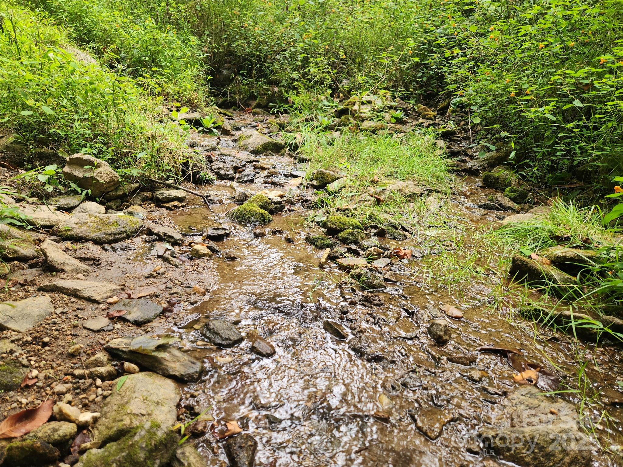 1925 S Fork Road — Marshall