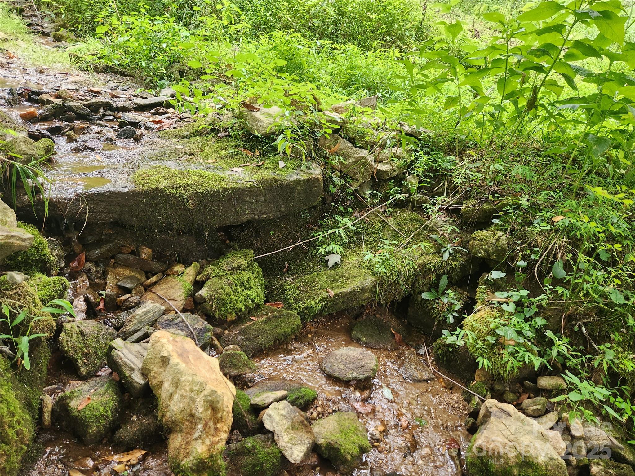 1925 S Fork Road — Marshall