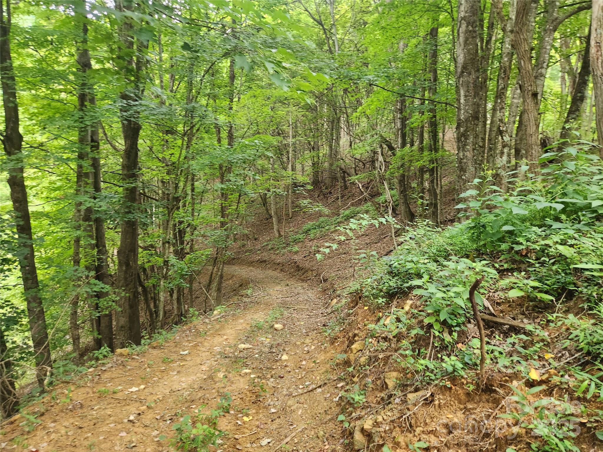 1925 S Fork Road — Marshall