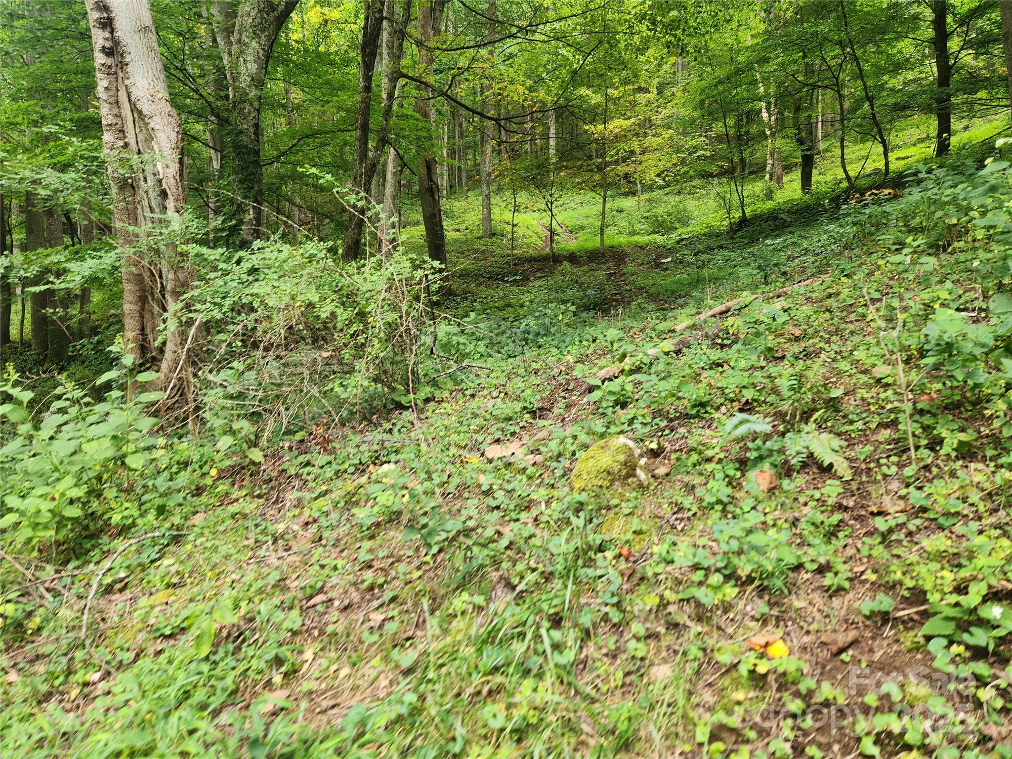 1925 S Fork Road — Marshall