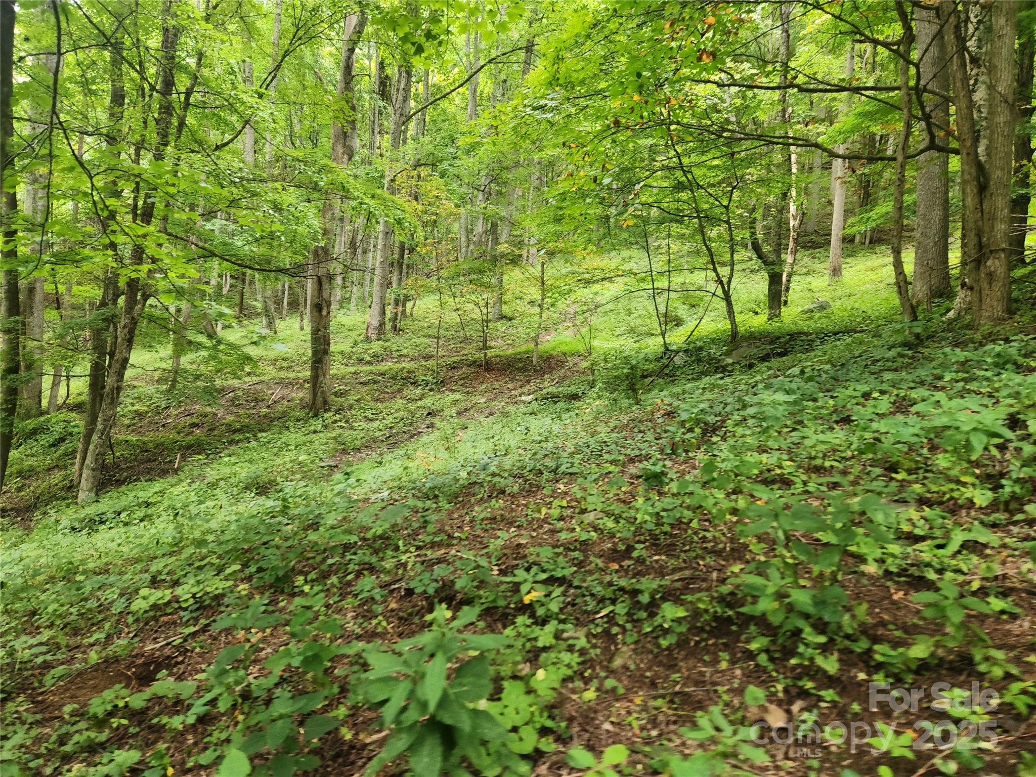 1925 S Fork Road — Marshall
