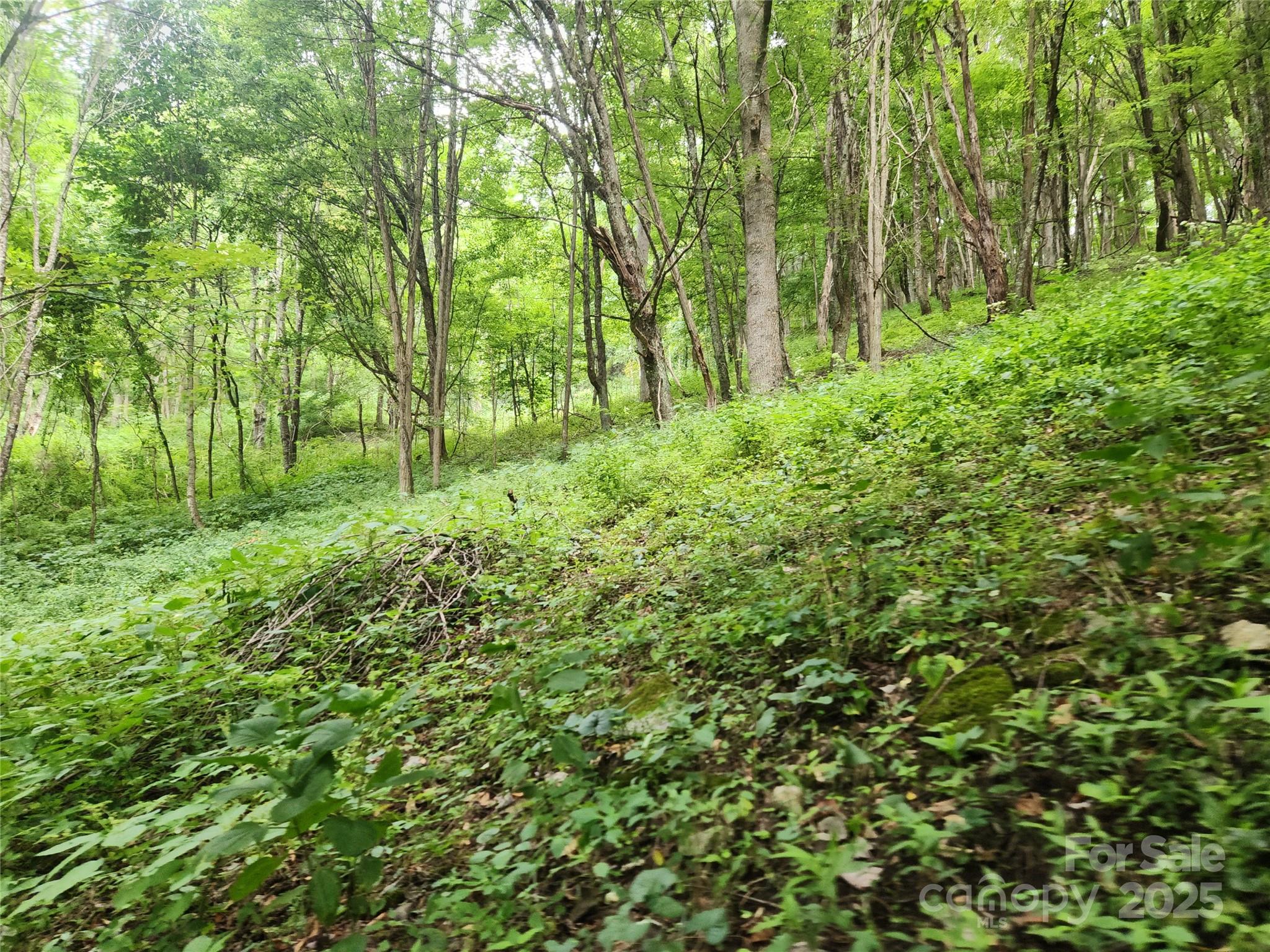 1925 S Fork Road — Marshall