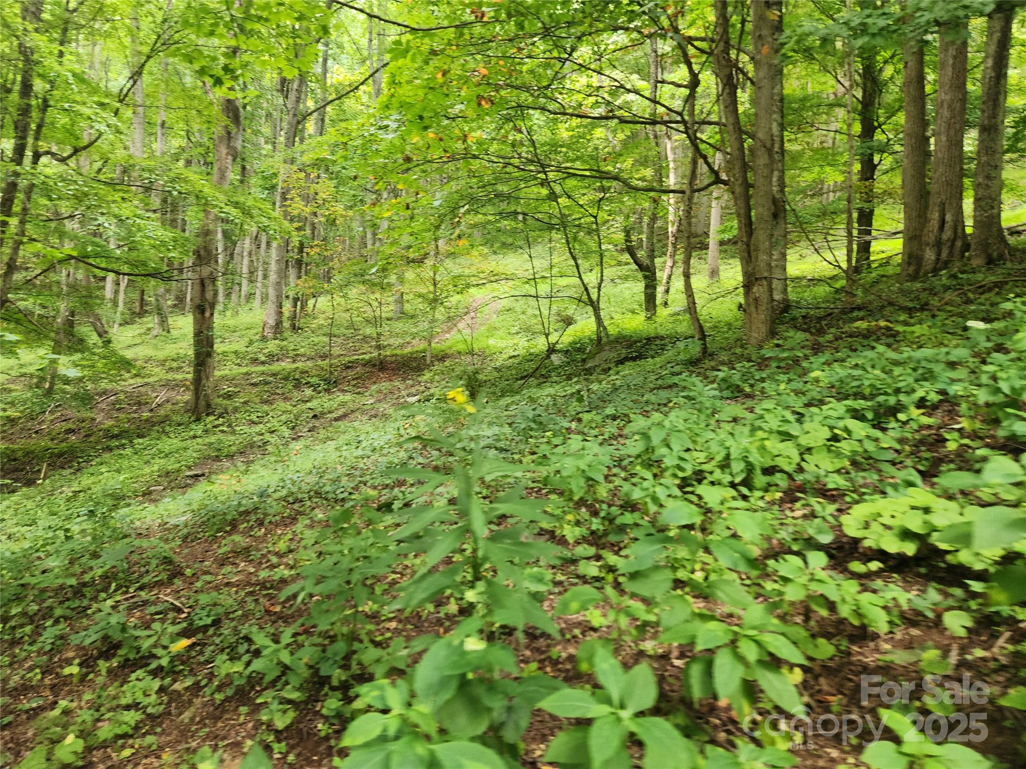 1925 S Fork Road — Marshall
