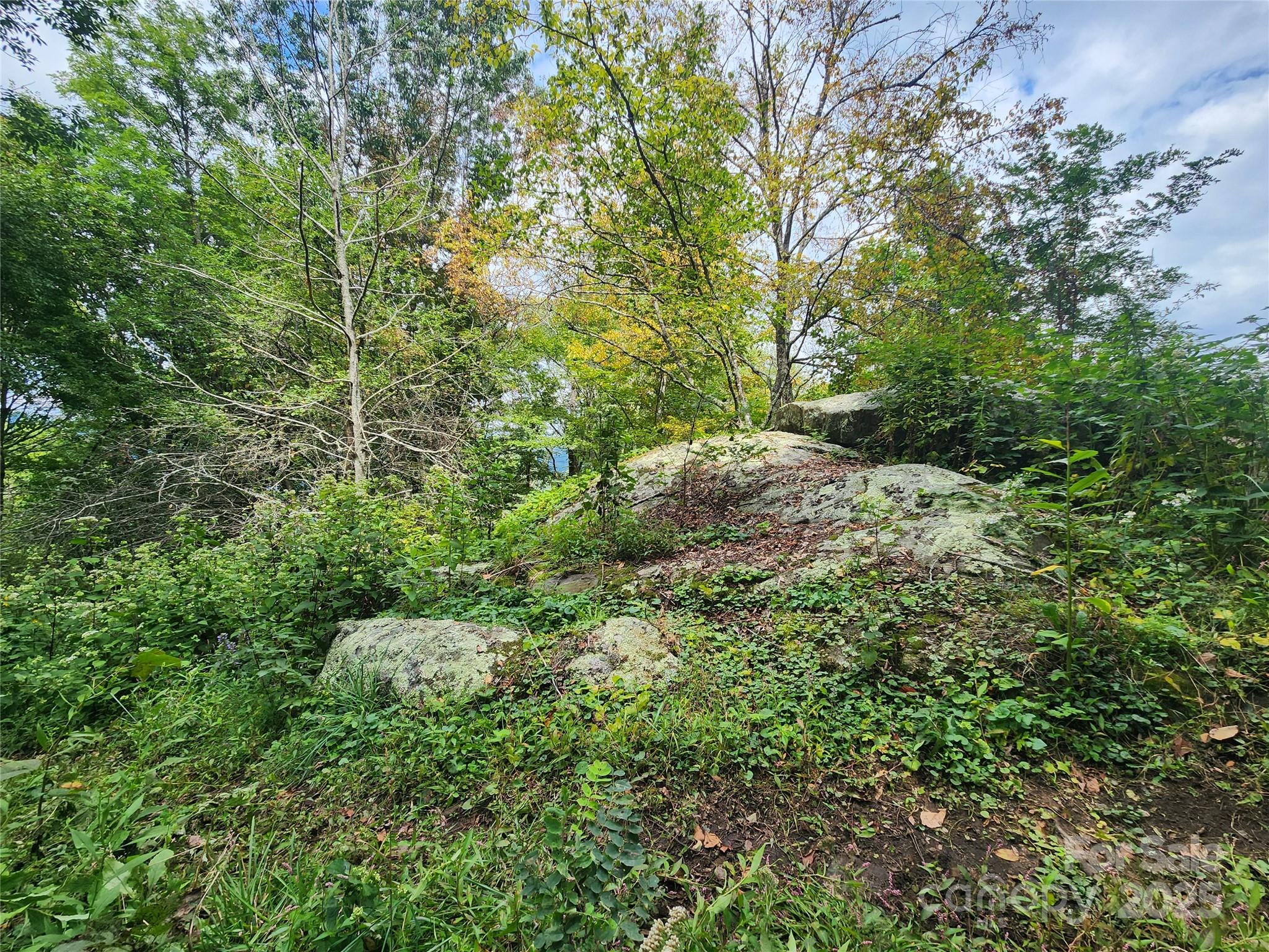 1925 S Fork Road — Marshall