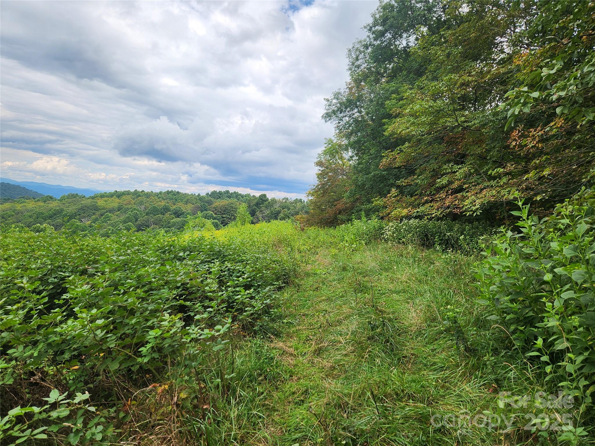 1925 S Fork Road — Marshall