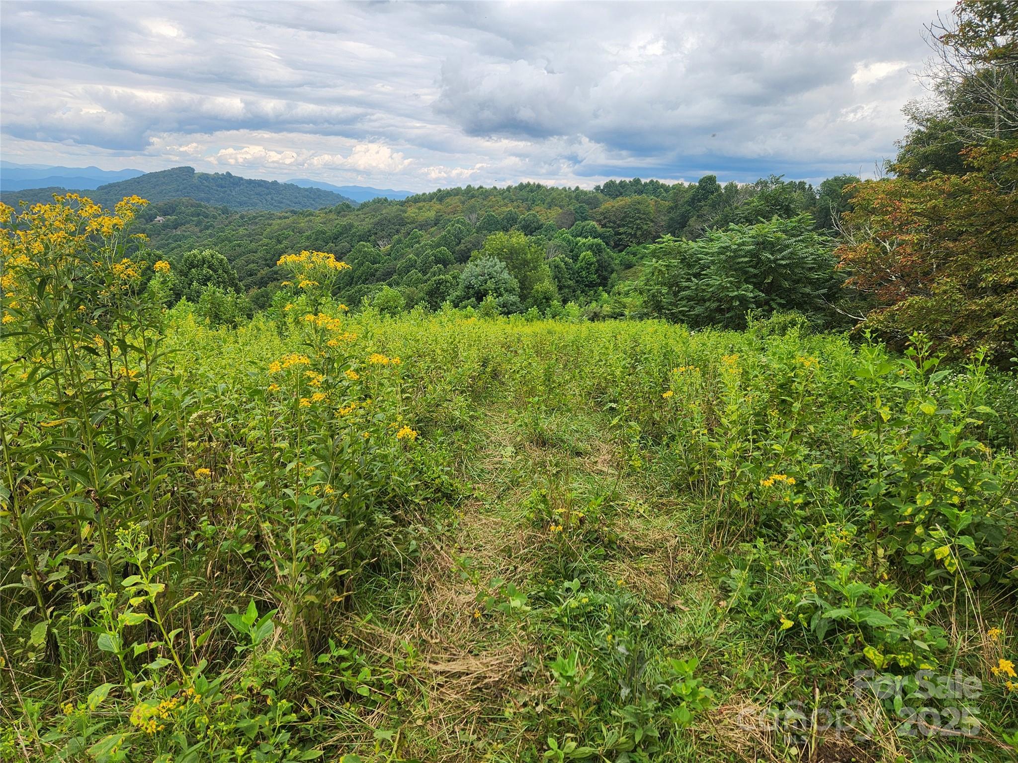 1925 S Fork Road — Marshall
