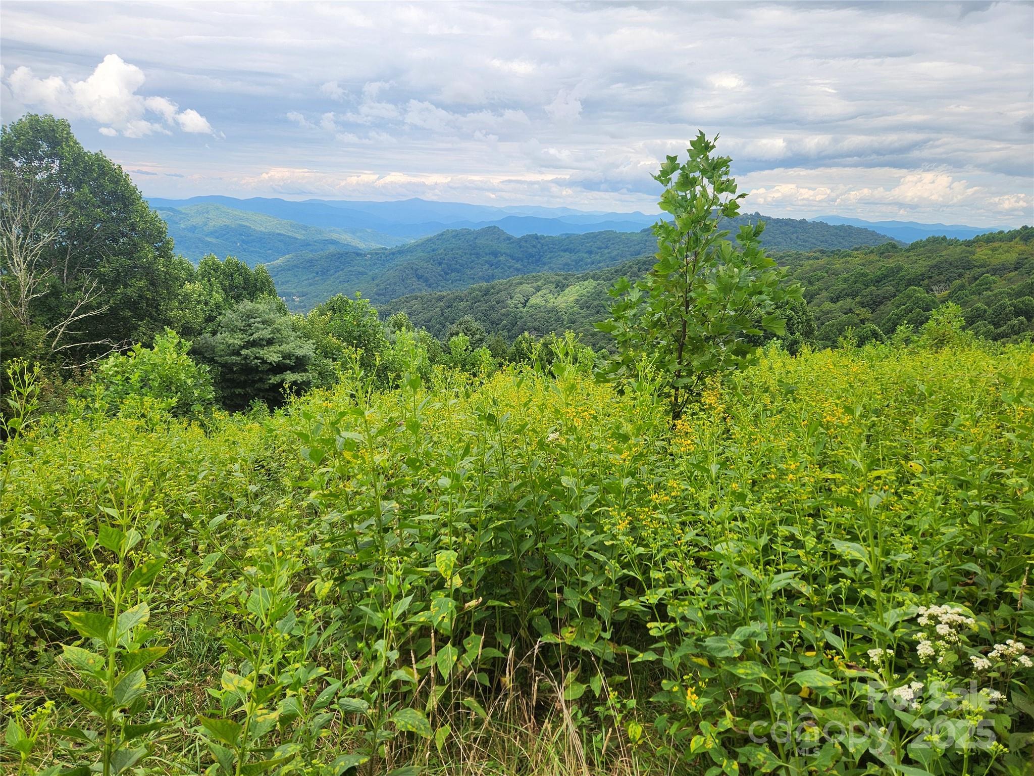 1925 S Fork Road — Marshall