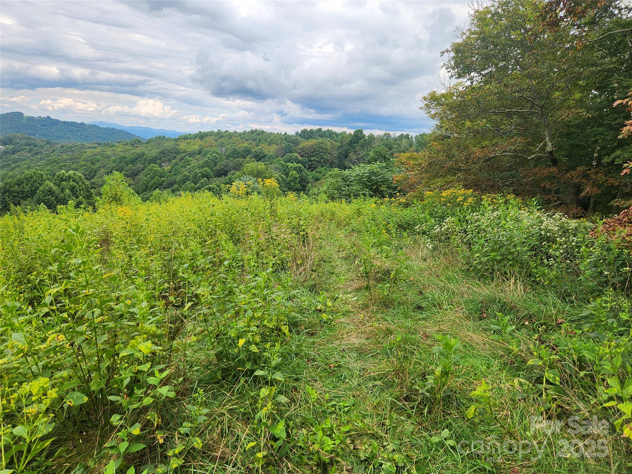 1925 S Fork Road — Marshall