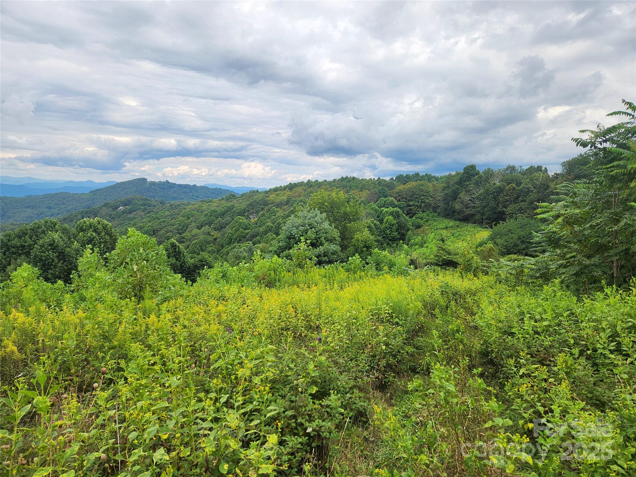 1925 S Fork Road — Marshall
