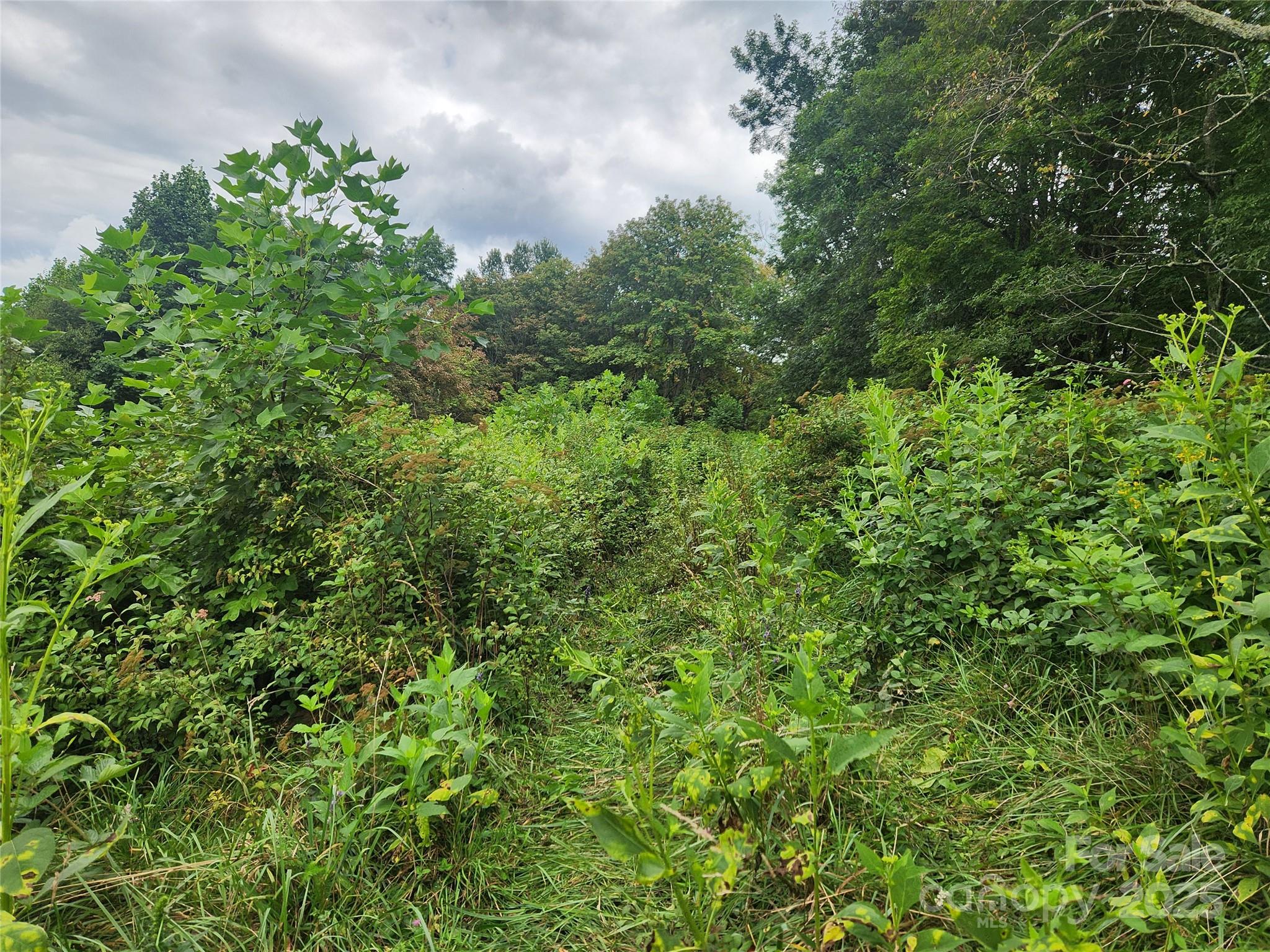 1925 S Fork Road — Marshall
