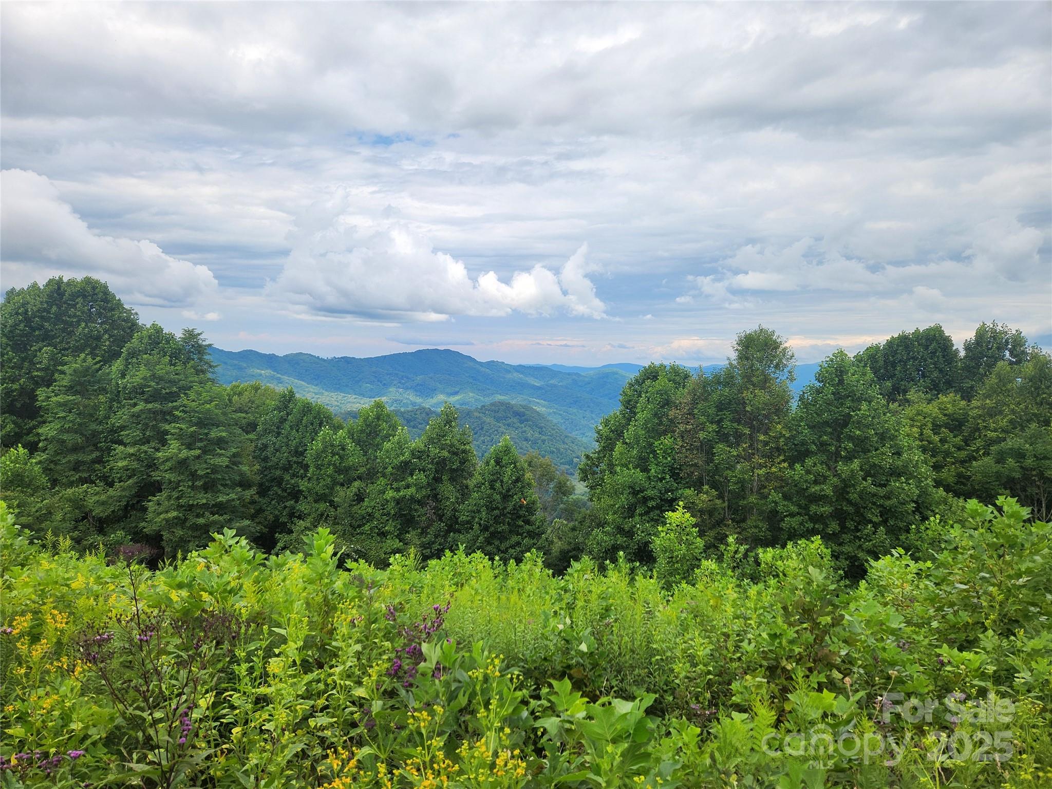 1925 S Fork Road — Marshall