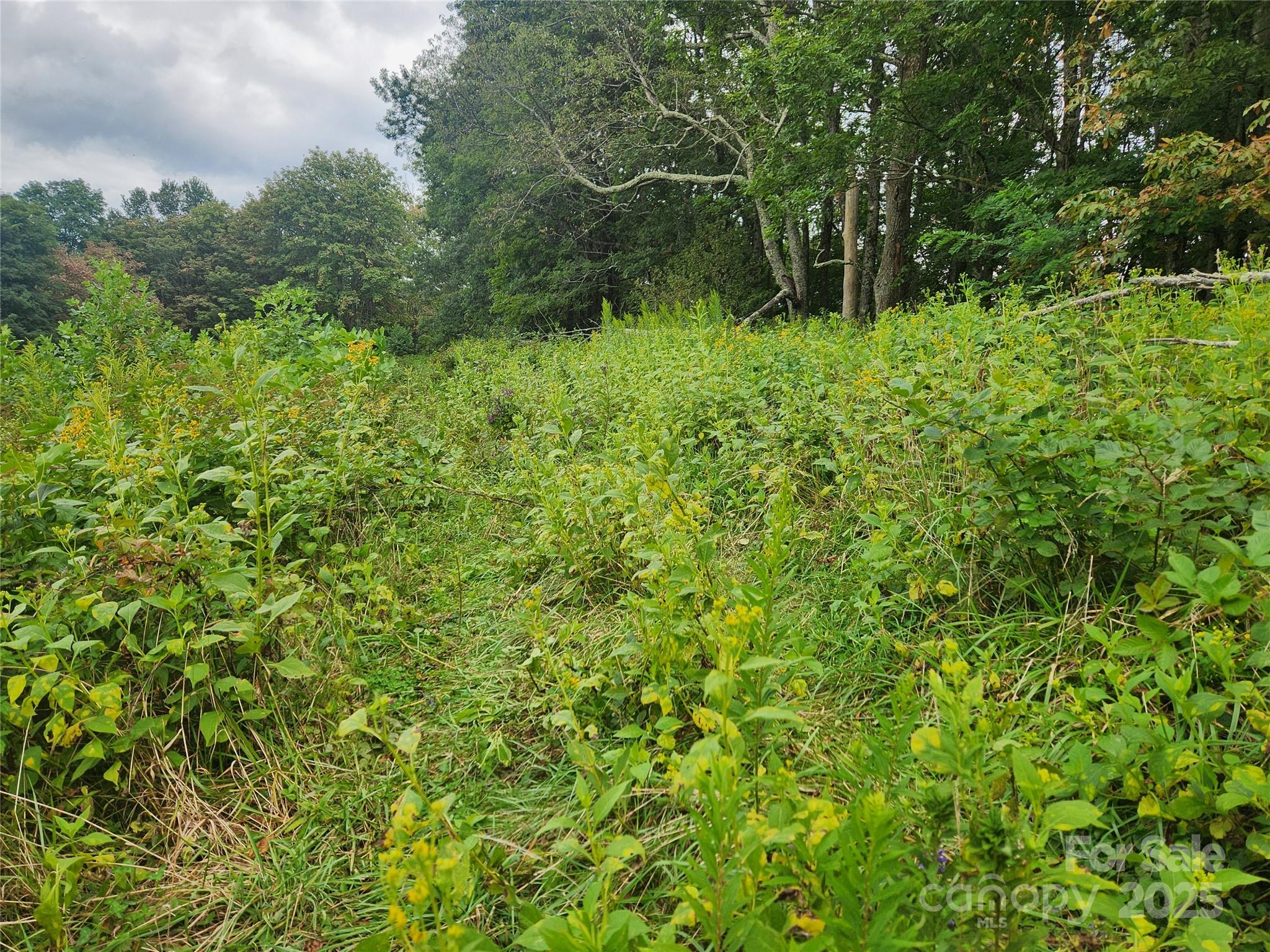 1925 S Fork Road — Marshall