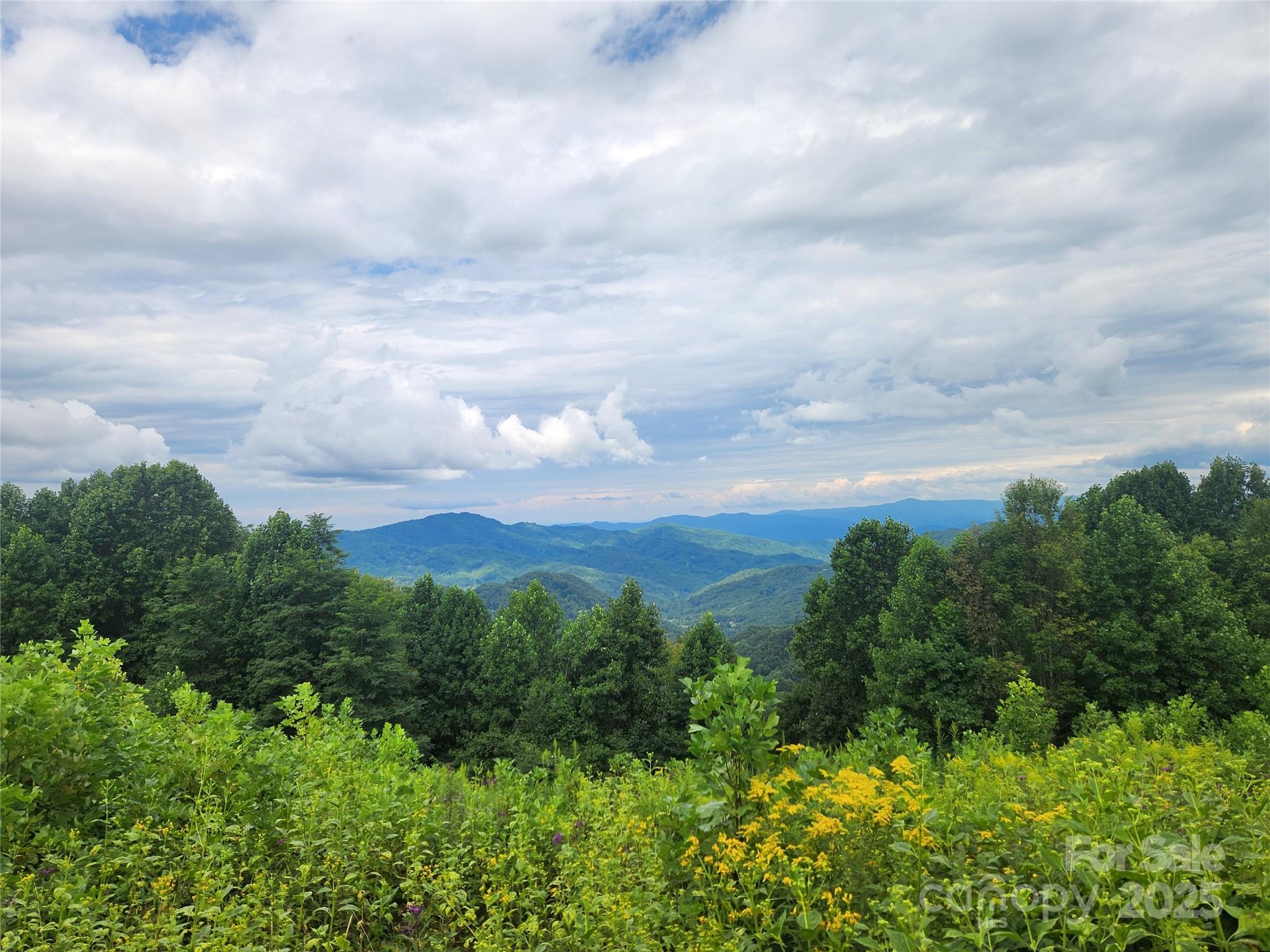 1925 S Fork Road — Marshall