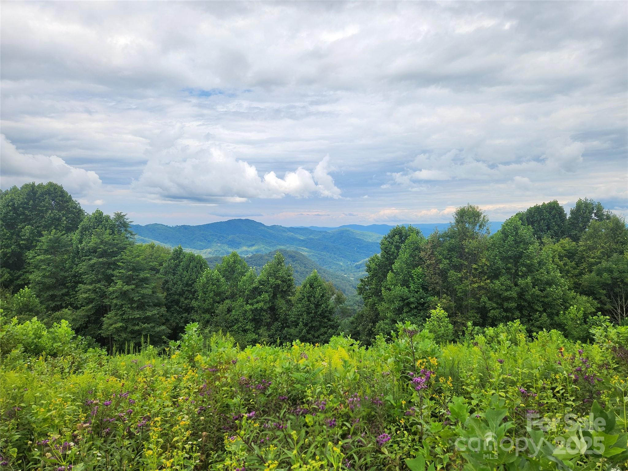 1925 S Fork Road — Marshall