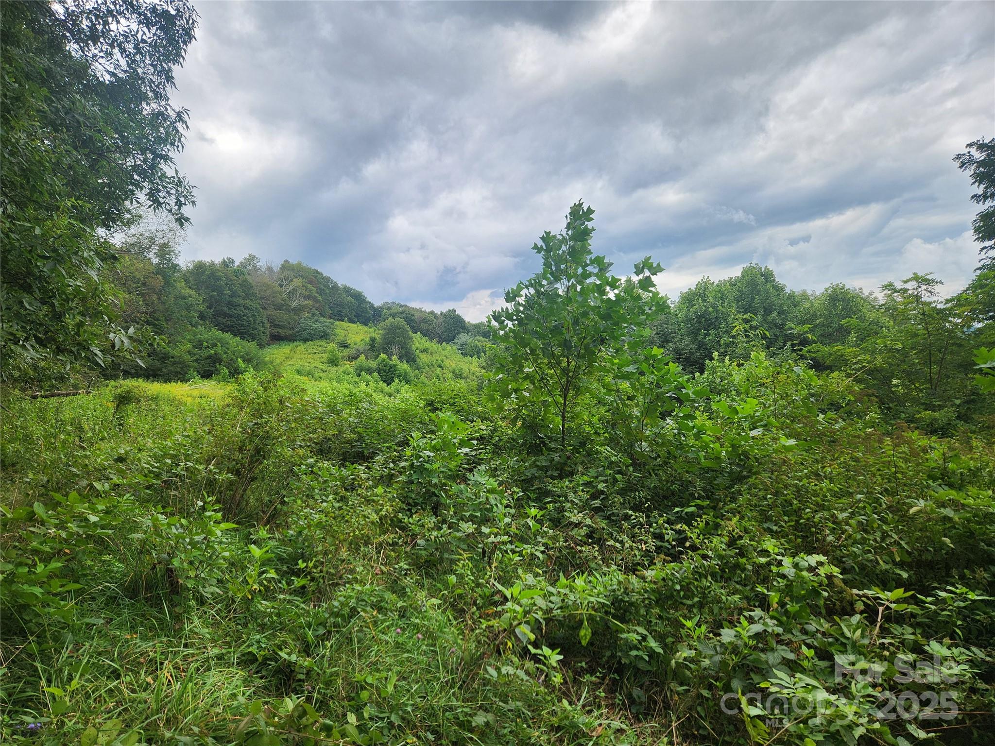 1925 S Fork Road — Marshall