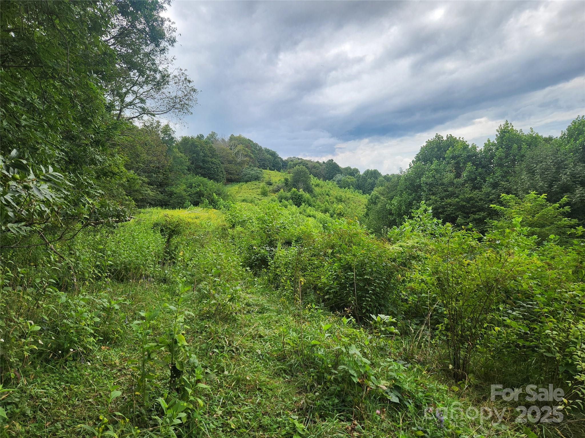 1925 S Fork Road — Marshall