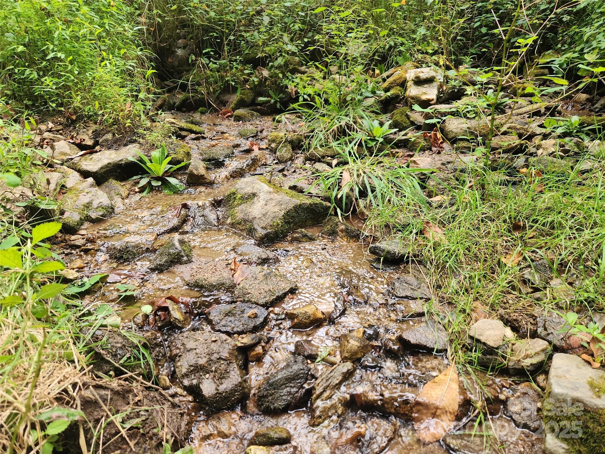 1925 S Fork Road — Marshall