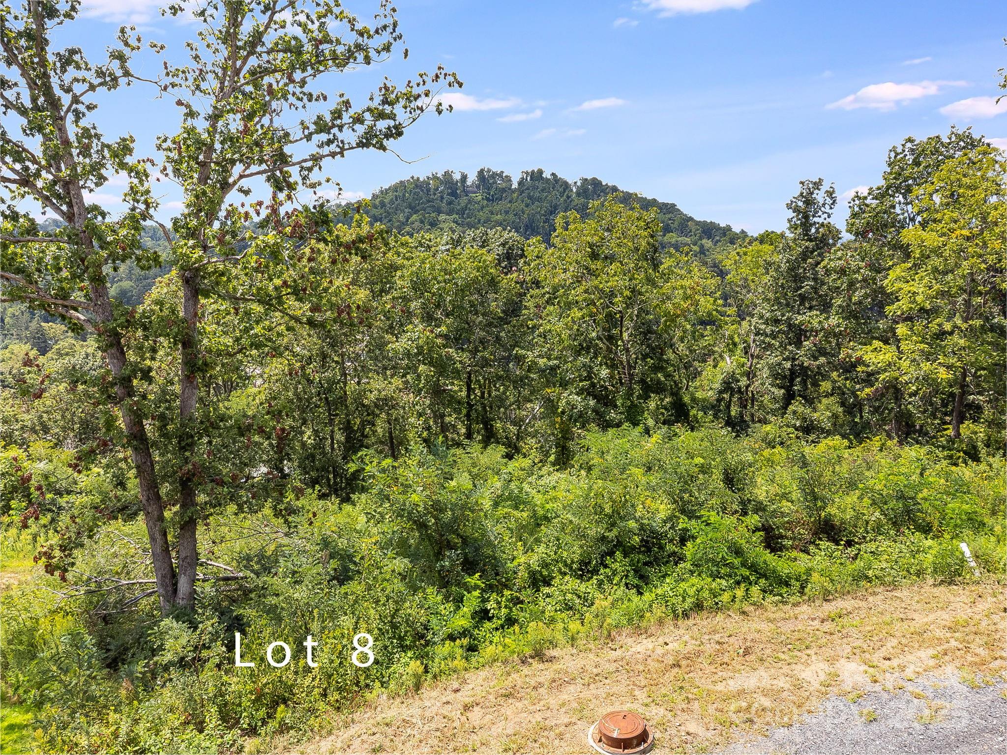 344 Espen Ridge #8 — Woodfin