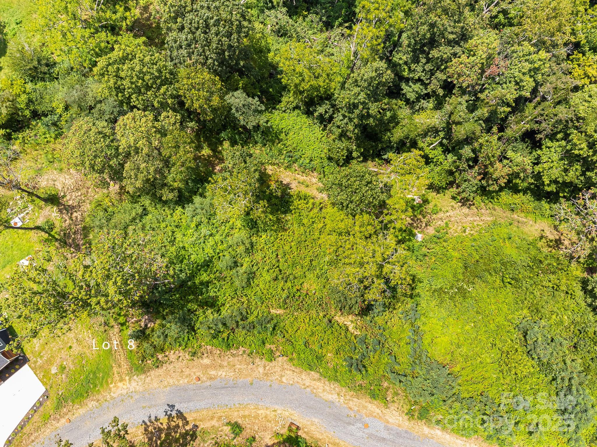 344 Espen Ridge #8 — Woodfin
