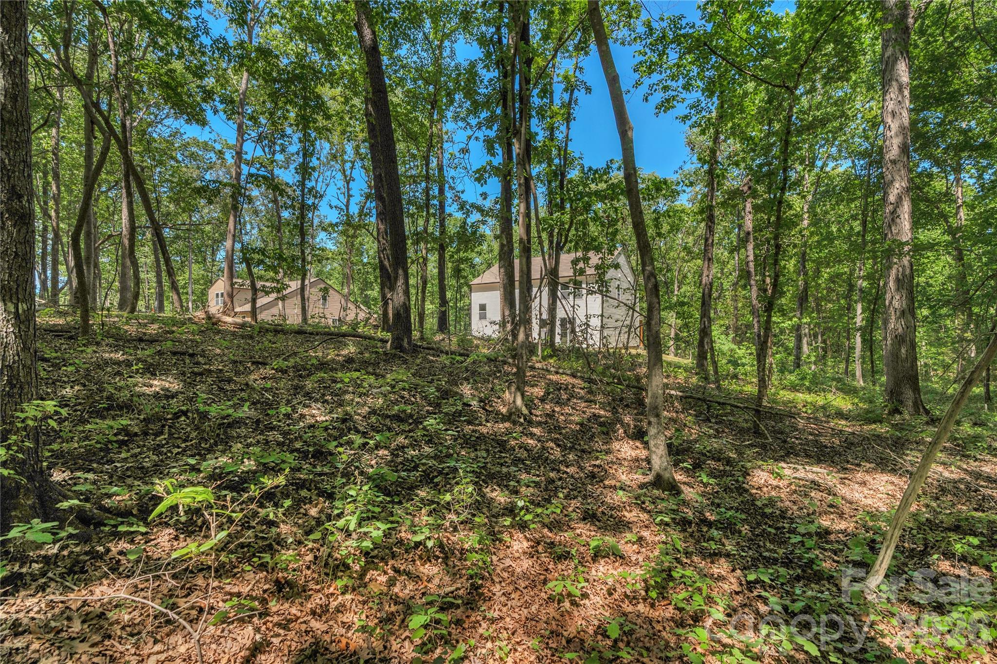 5630 Tipton Road — Monroe