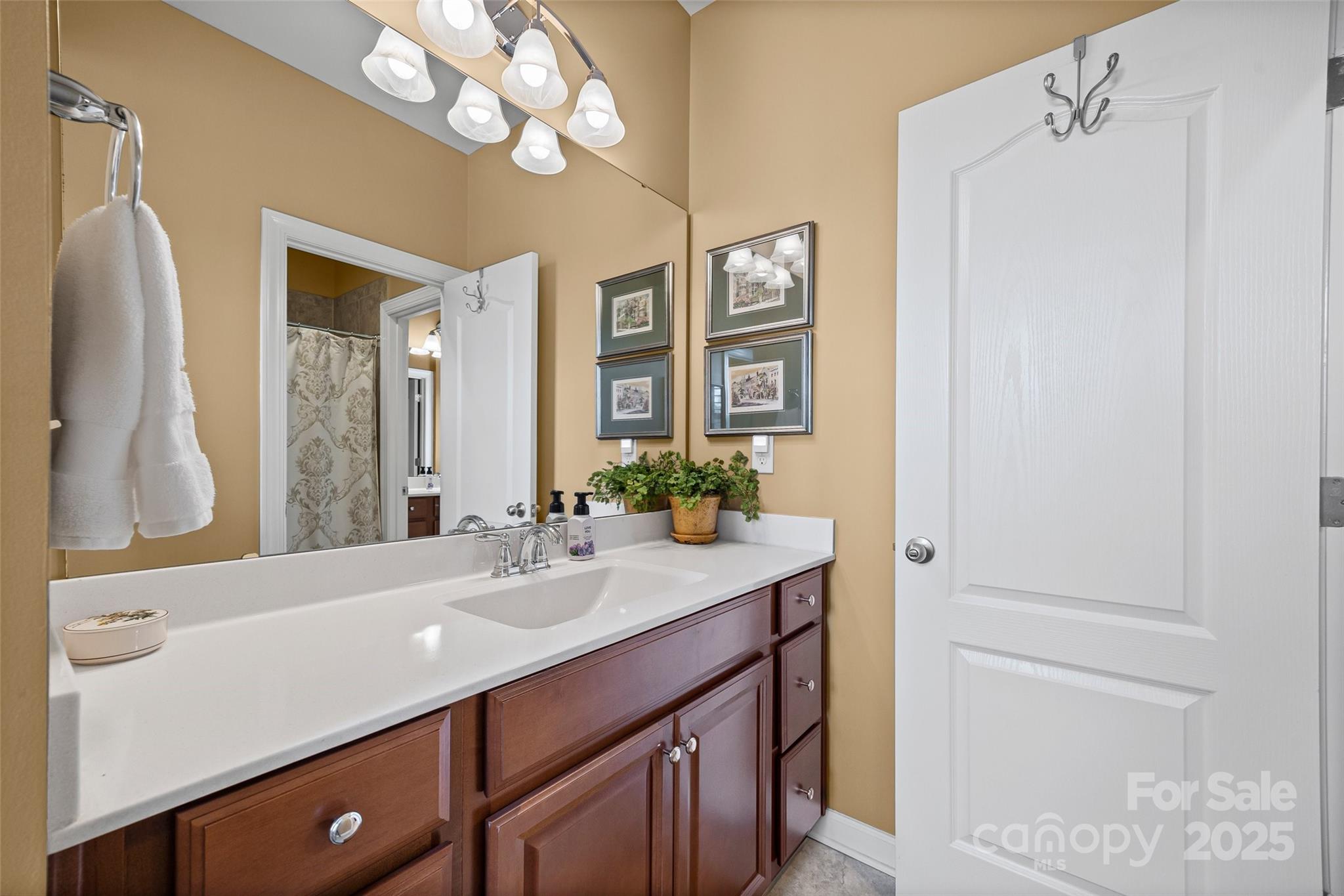 831 Tyne Drive — Fort Mill