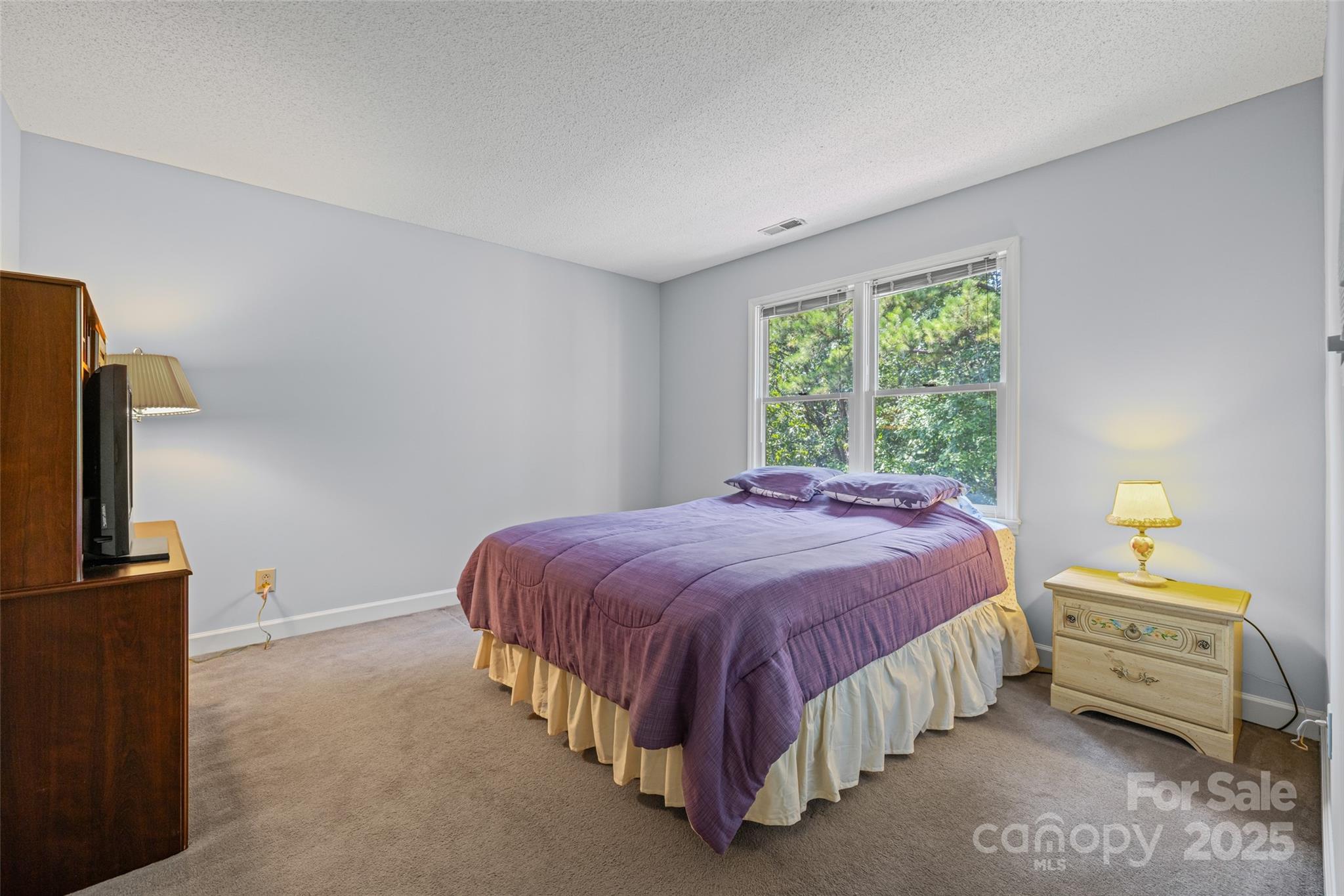 25011 Club View Drive — Tega Cay