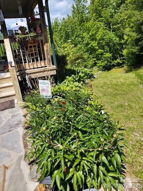 612 Old Home Place Road — Tuckasegee