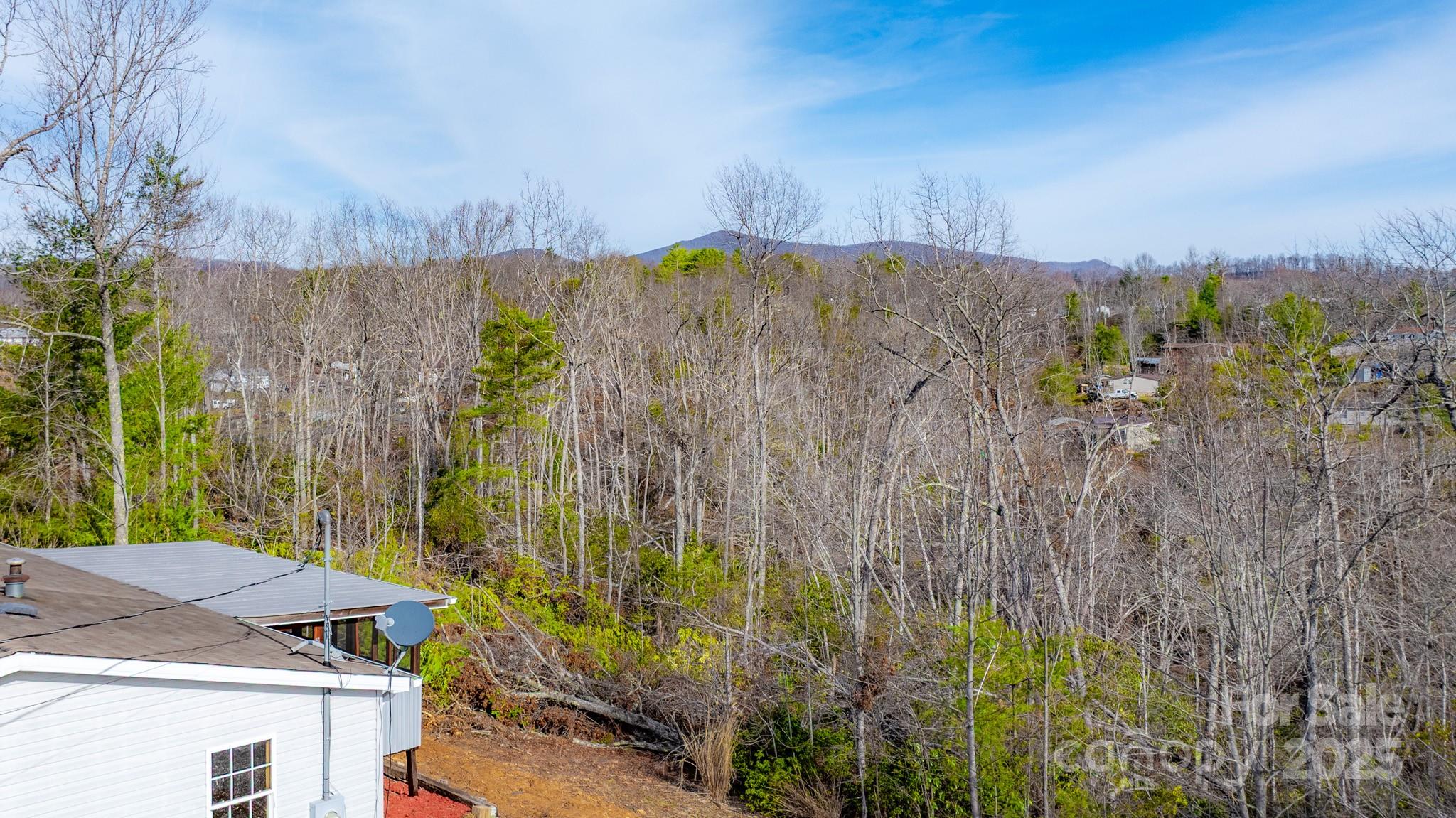 459 Vaughan Road — Spruce Pine