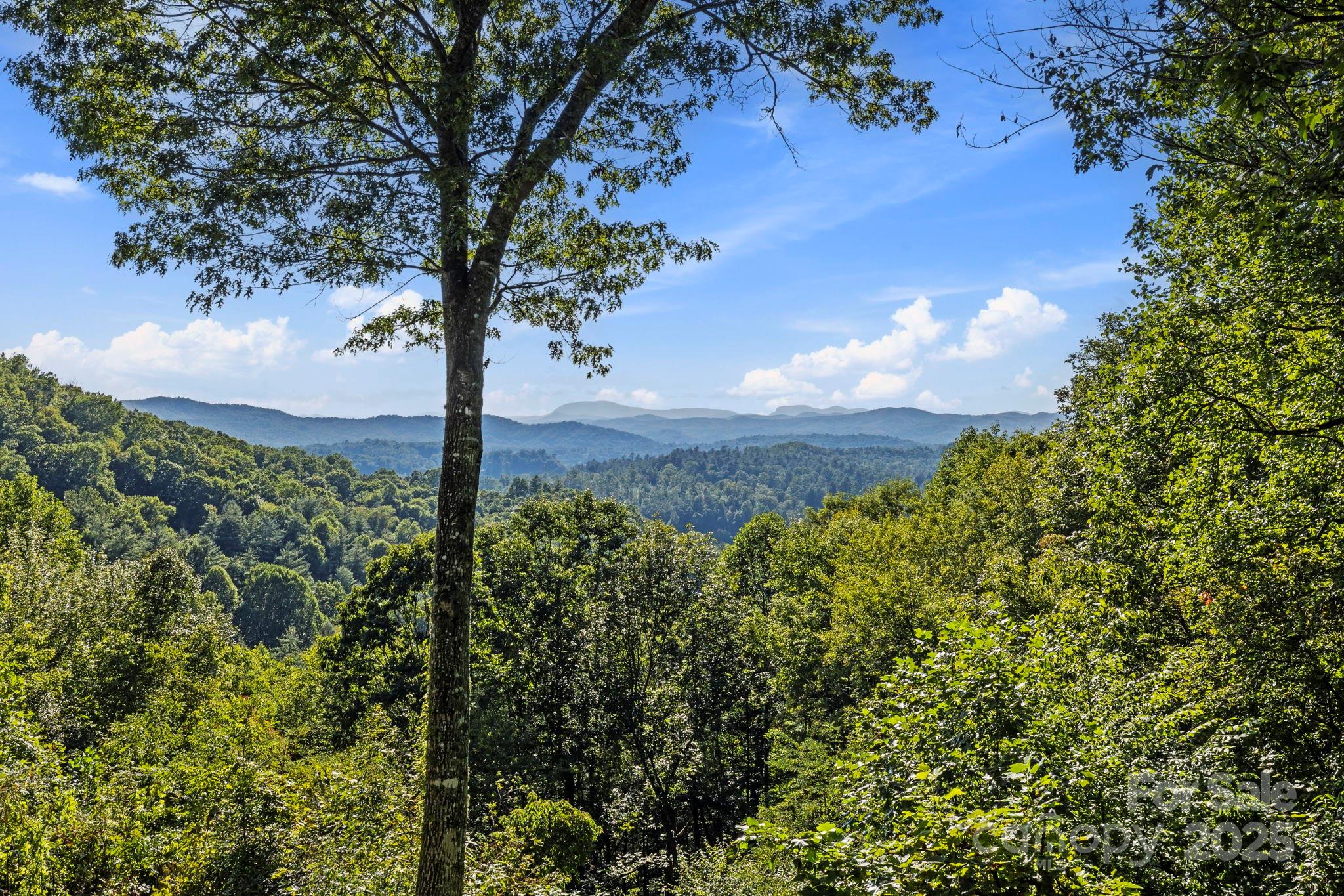 658 Johnson Road — Brevard