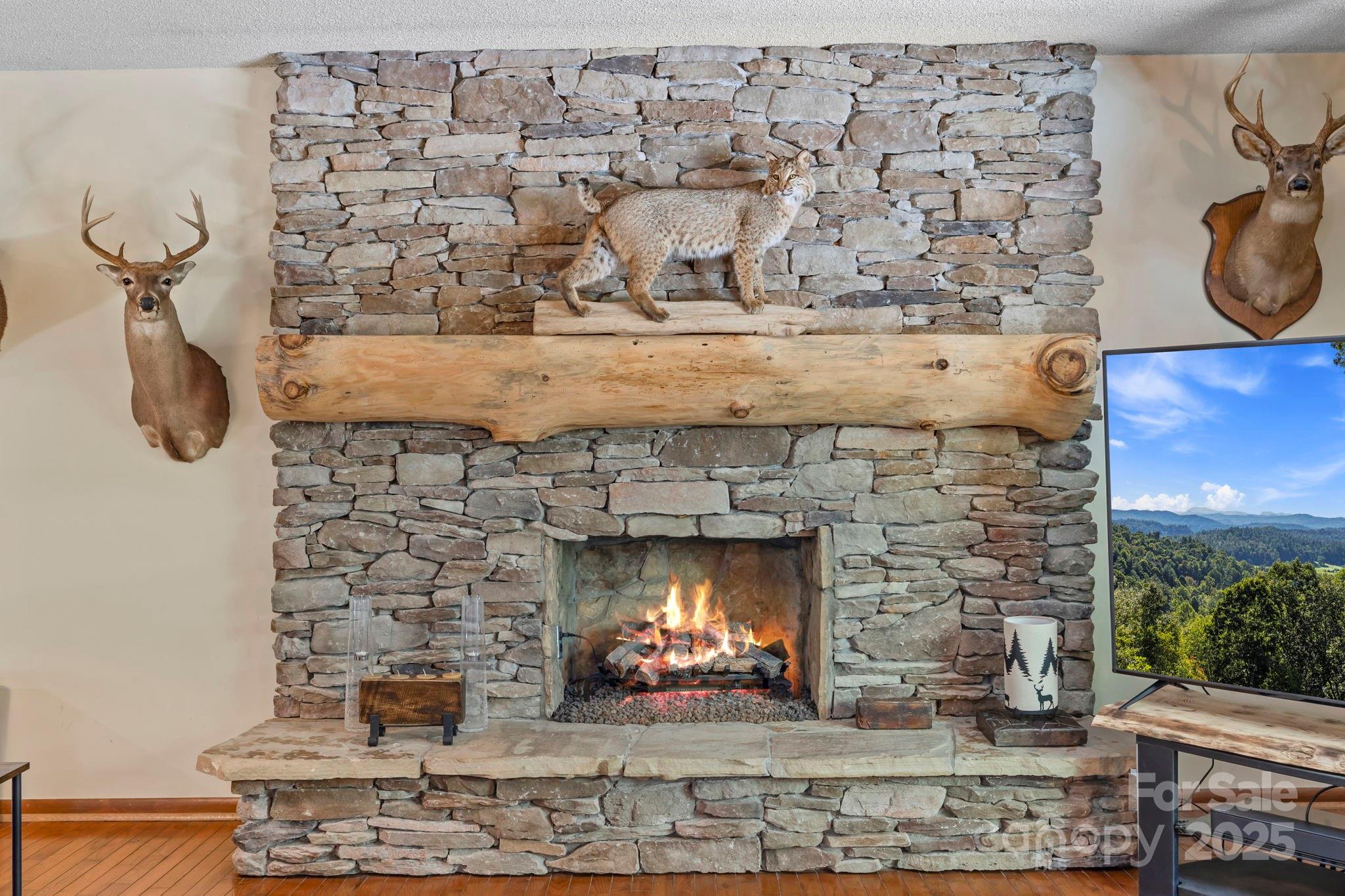 658 Johnson Road — Brevard