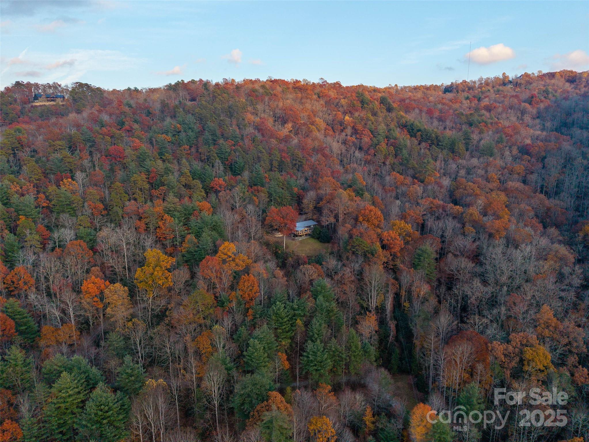 658 Johnson Road — Brevard