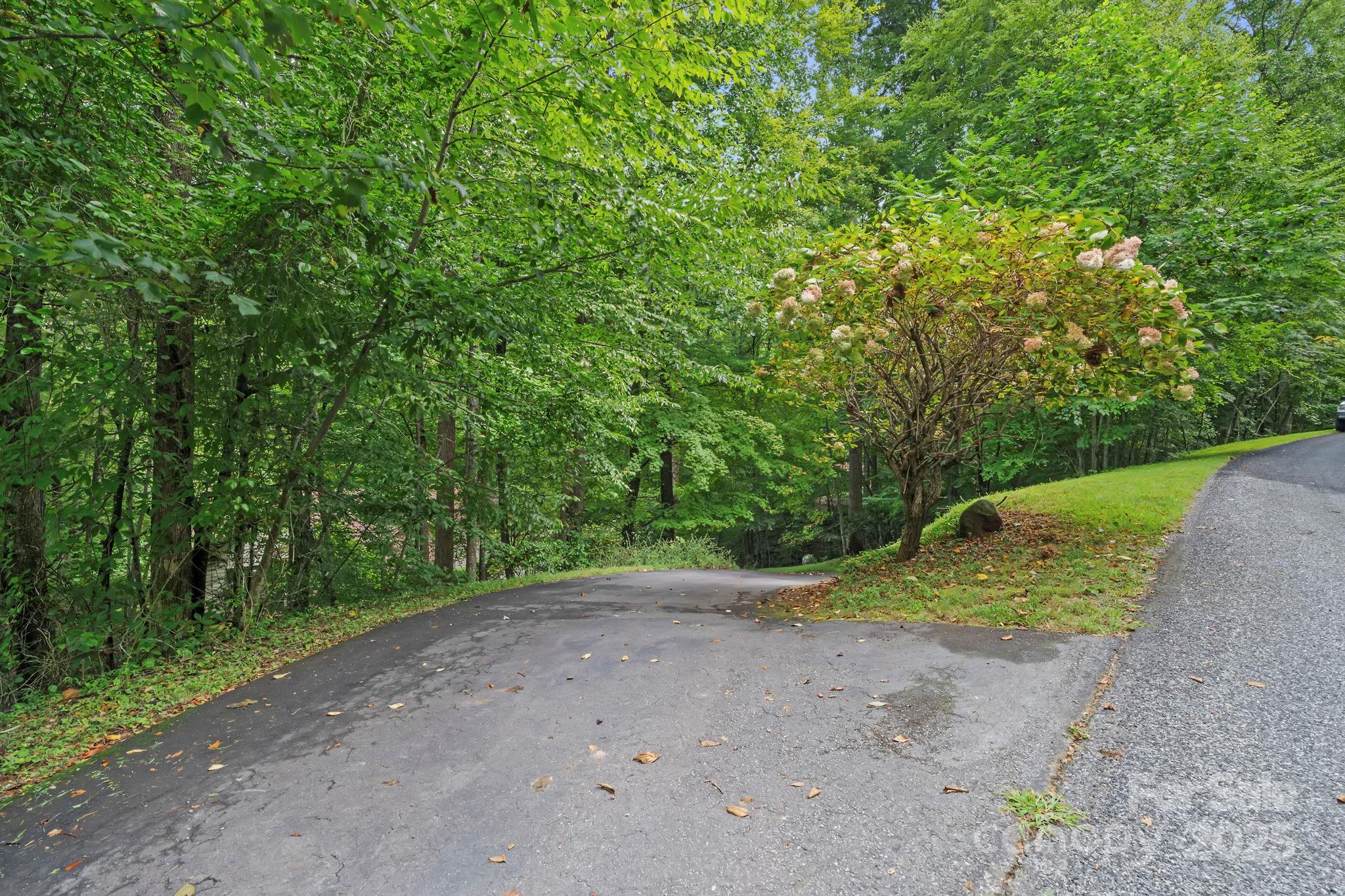 458 Blue Mist Way — Arden